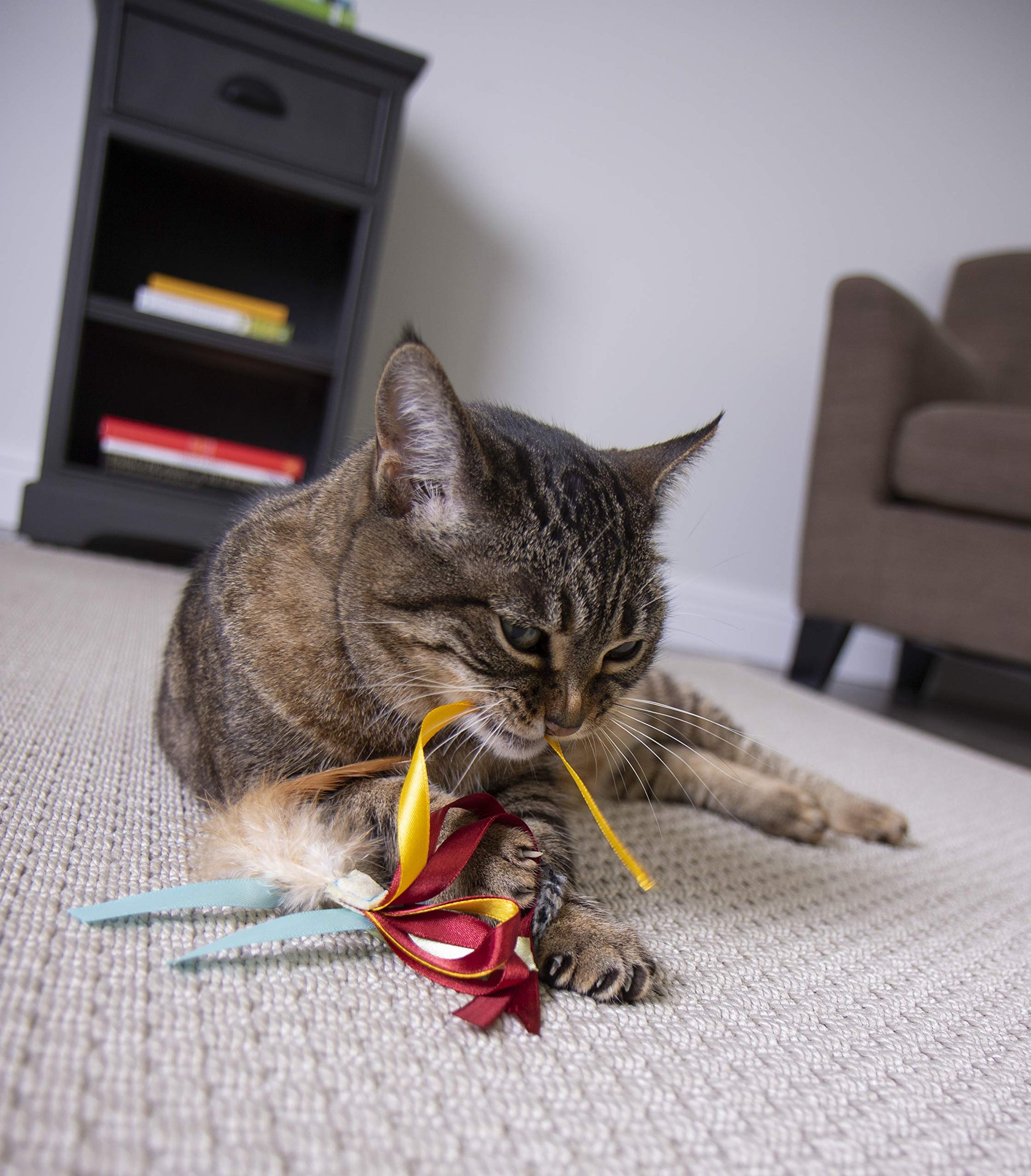 Interactive Cat Toy with Light and HappyNip Blend