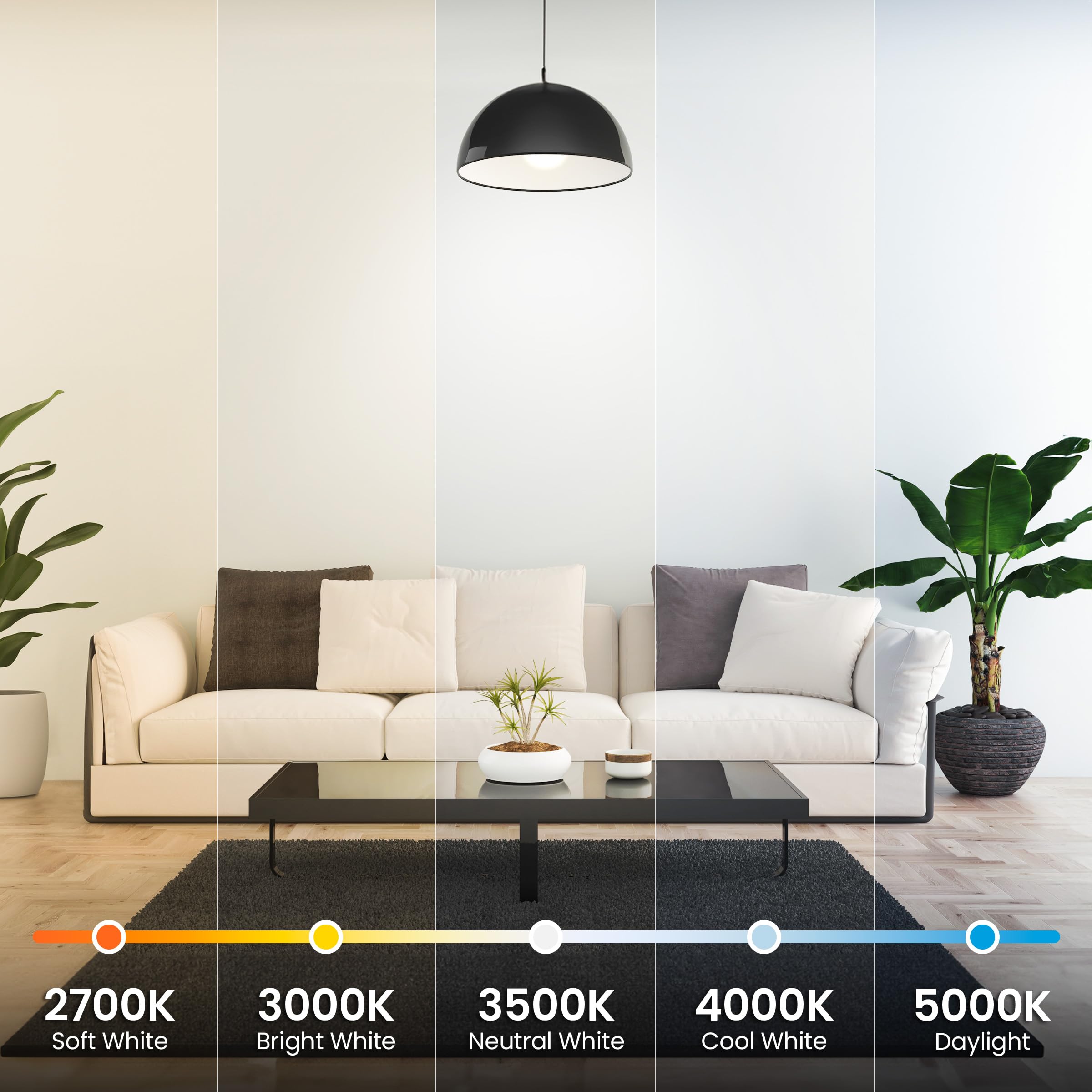 Feit Electric LED Light Bulbs 60 Watt Equivalent Dimmable