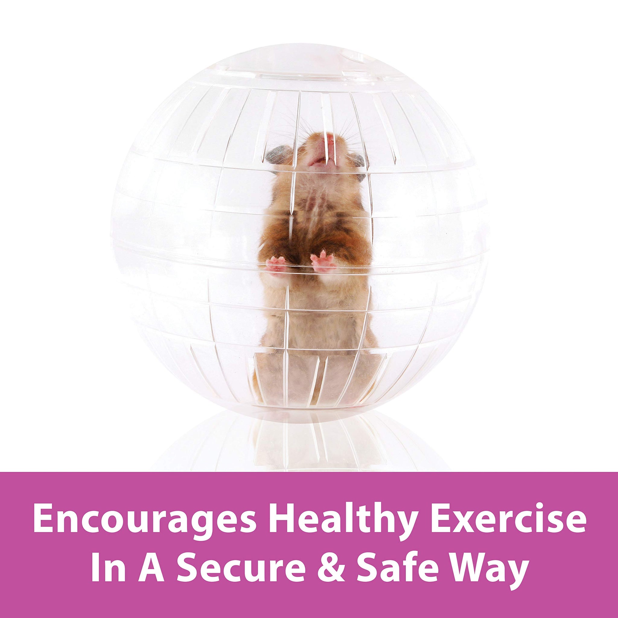 Kaytee 5 Inch Clear Exercise Ball for Dwarf Hamsters