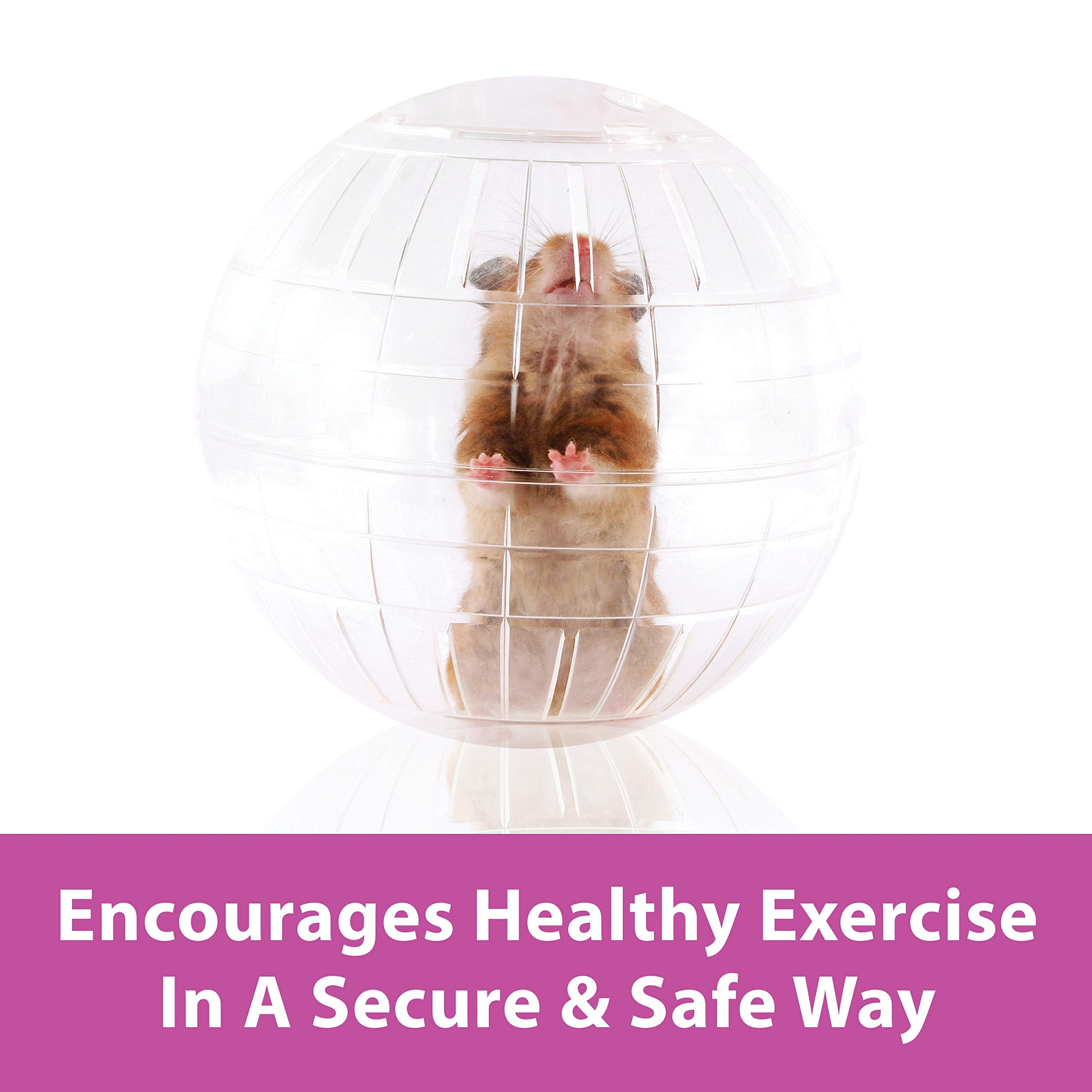 Kaytee 5 Inch Clear Exercise Ball for Dwarf Hamsters