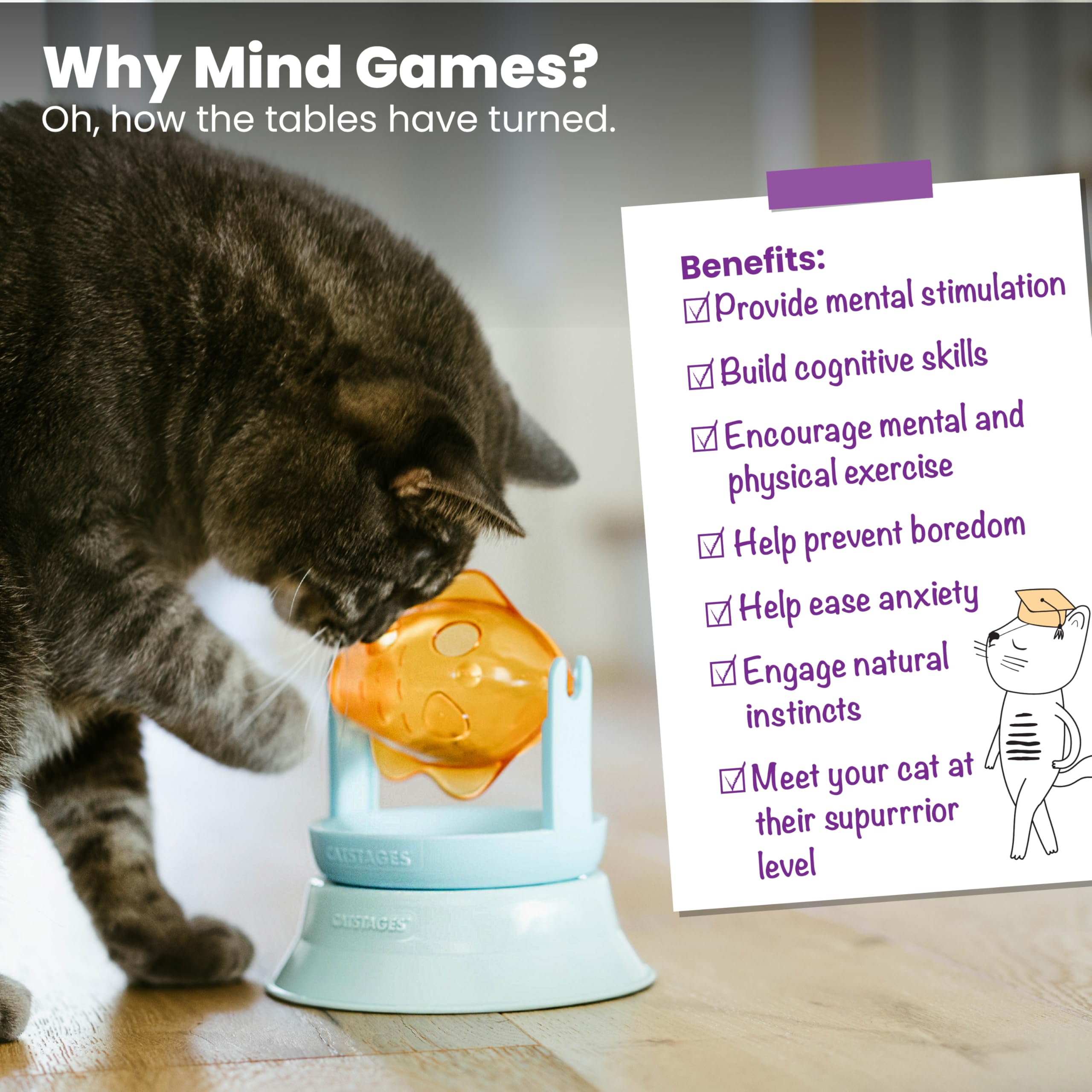 Interactive Flutter Dome Cat Toy for Indoor Play