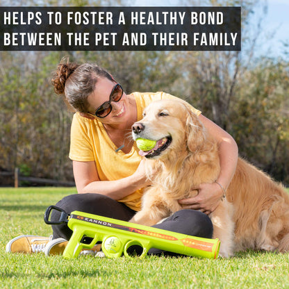 Automatic Ball Launcher for Dogs with Remote Control