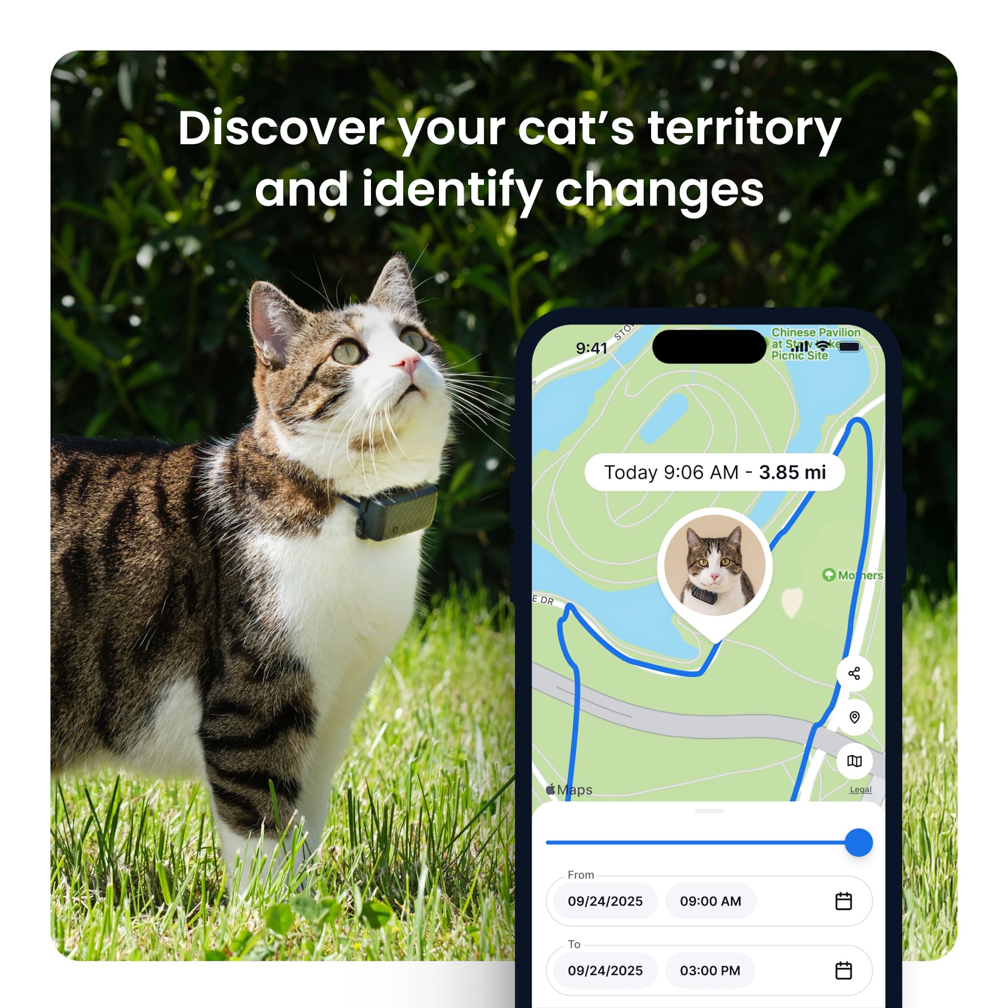 Tractive Smart Cat GPS Tracker with Real Time Monitoring