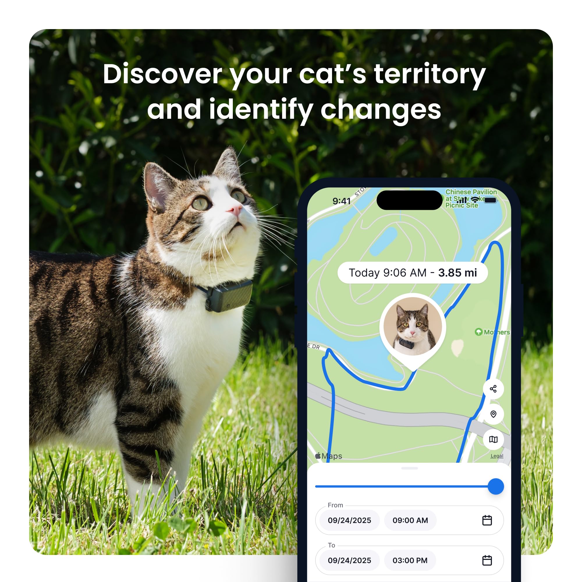 Tractive Smart Cat GPS Tracker with Real Time Monitoring