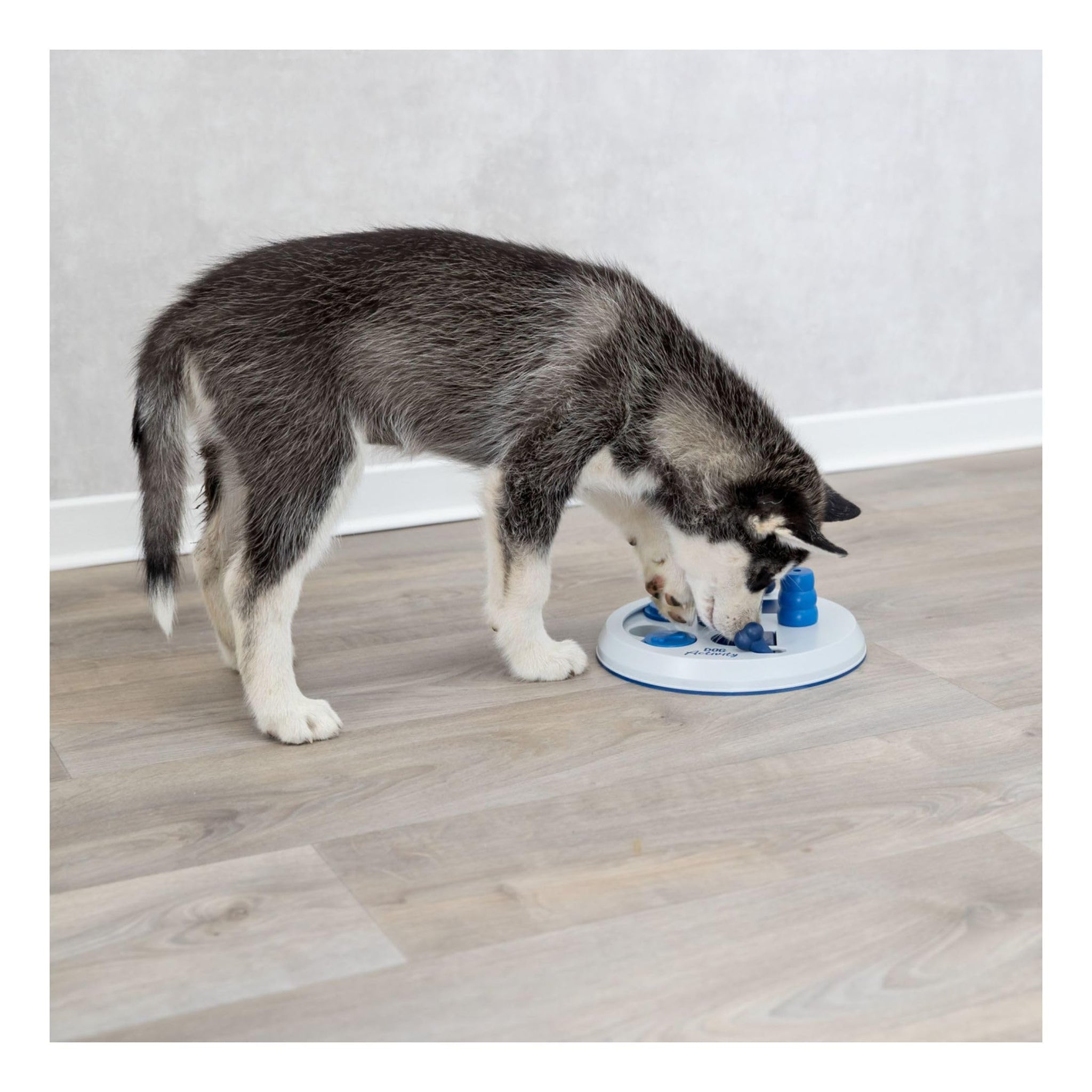 Trixie Move to Win Level 3 Dog Puzzle Game
