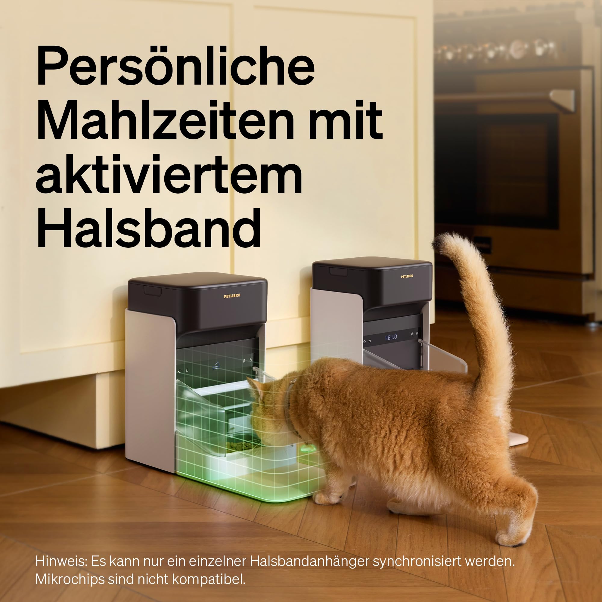 Automatic Cat Feeder With App Control For Convenient Feeding