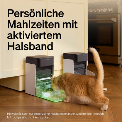 Automatic Cat Feeder With App Control For Convenient Feeding