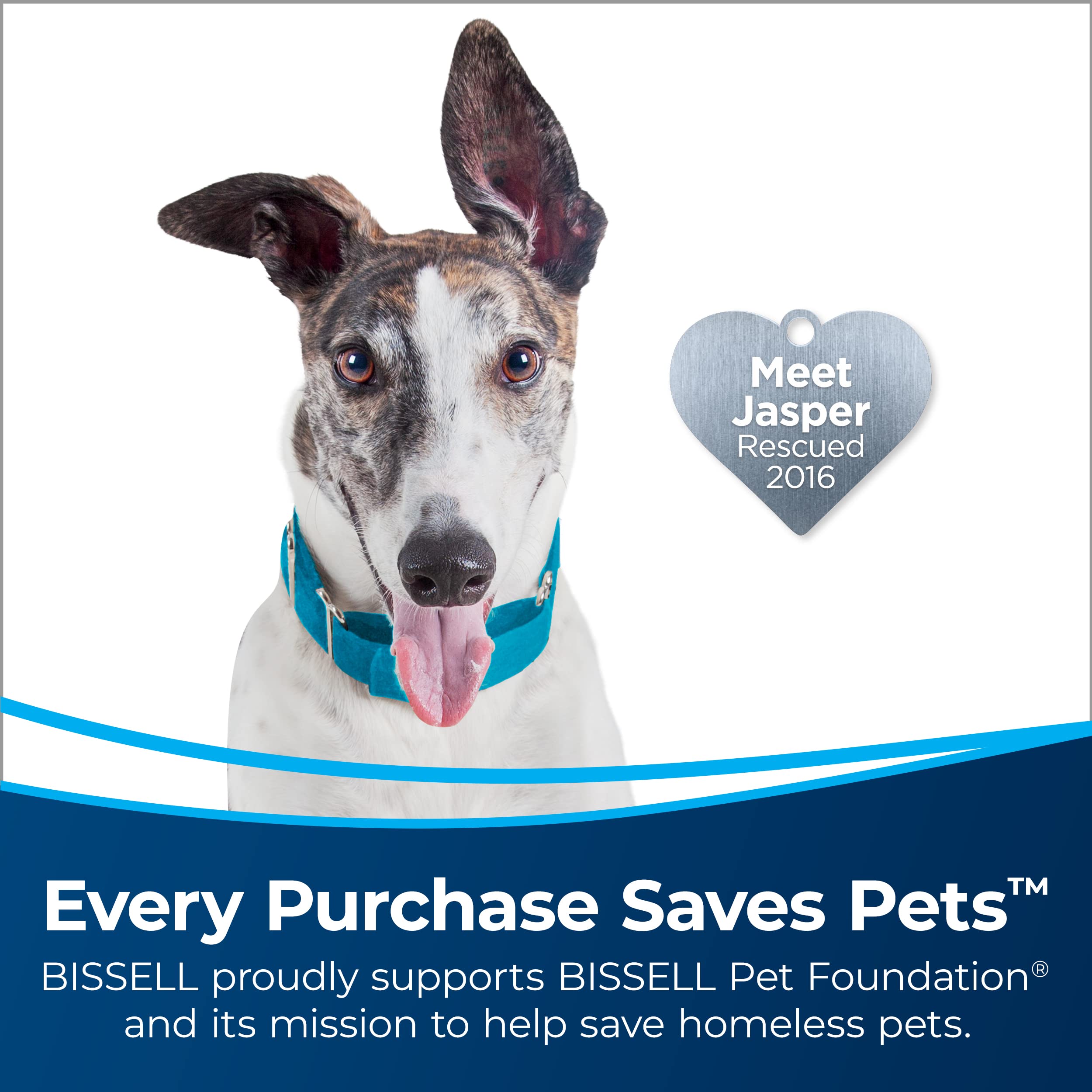Bissell SurfaceSense Pet Vacuum with Lift-Off Technology