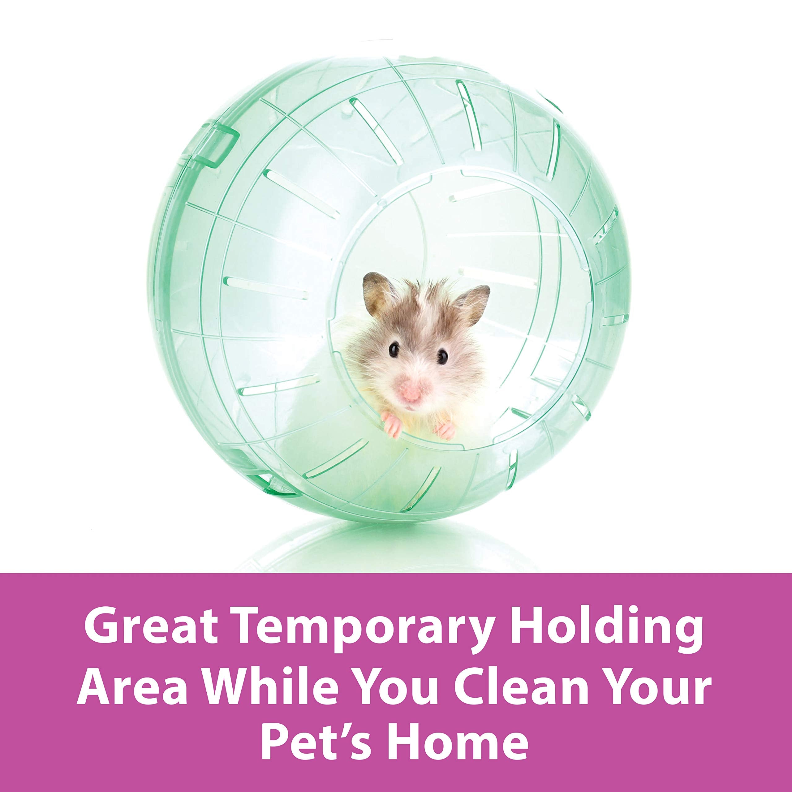 Kaytee 5 Inch Clear Exercise Ball for Dwarf Hamsters