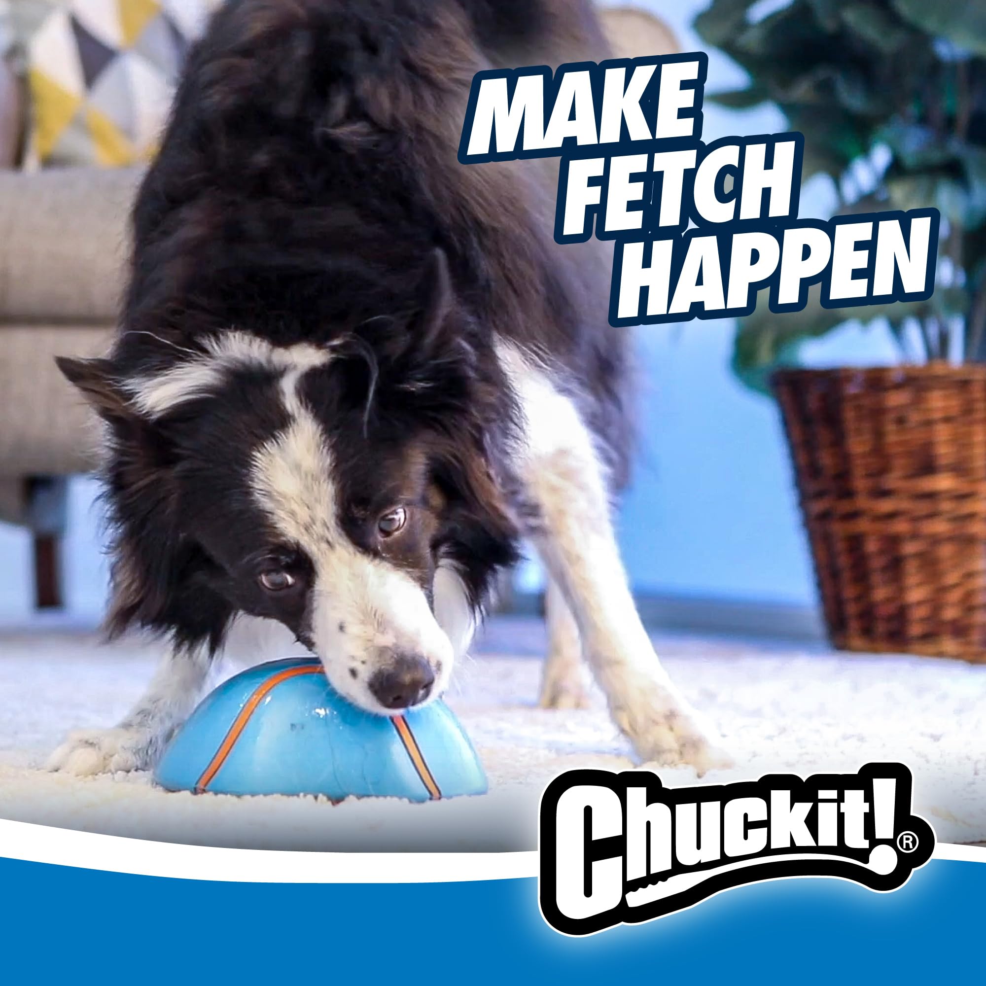 Chuckit Indoor Super Slider Fetch Toy for Dogs