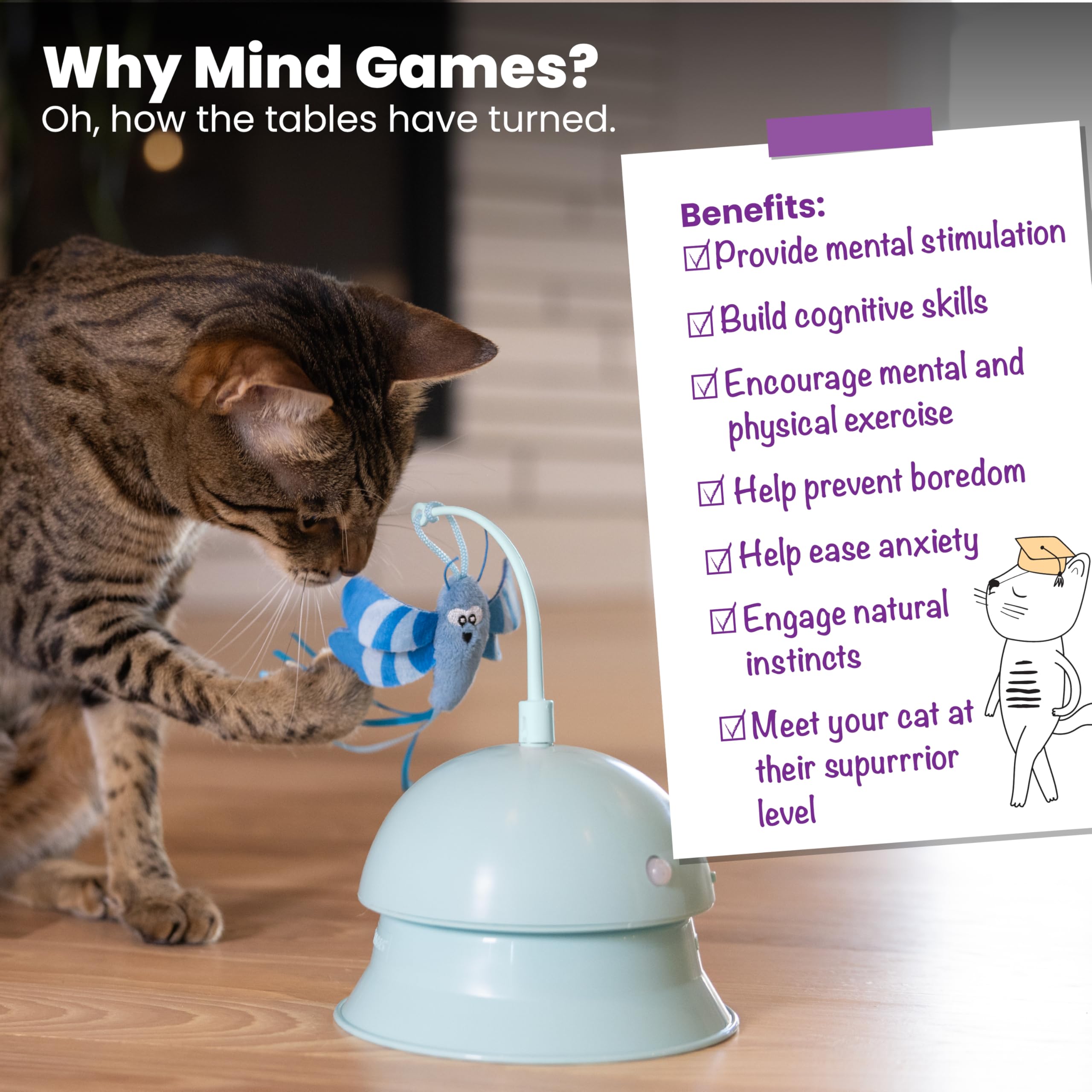Interactive Flutter Dome Cat Toy for Indoor Play