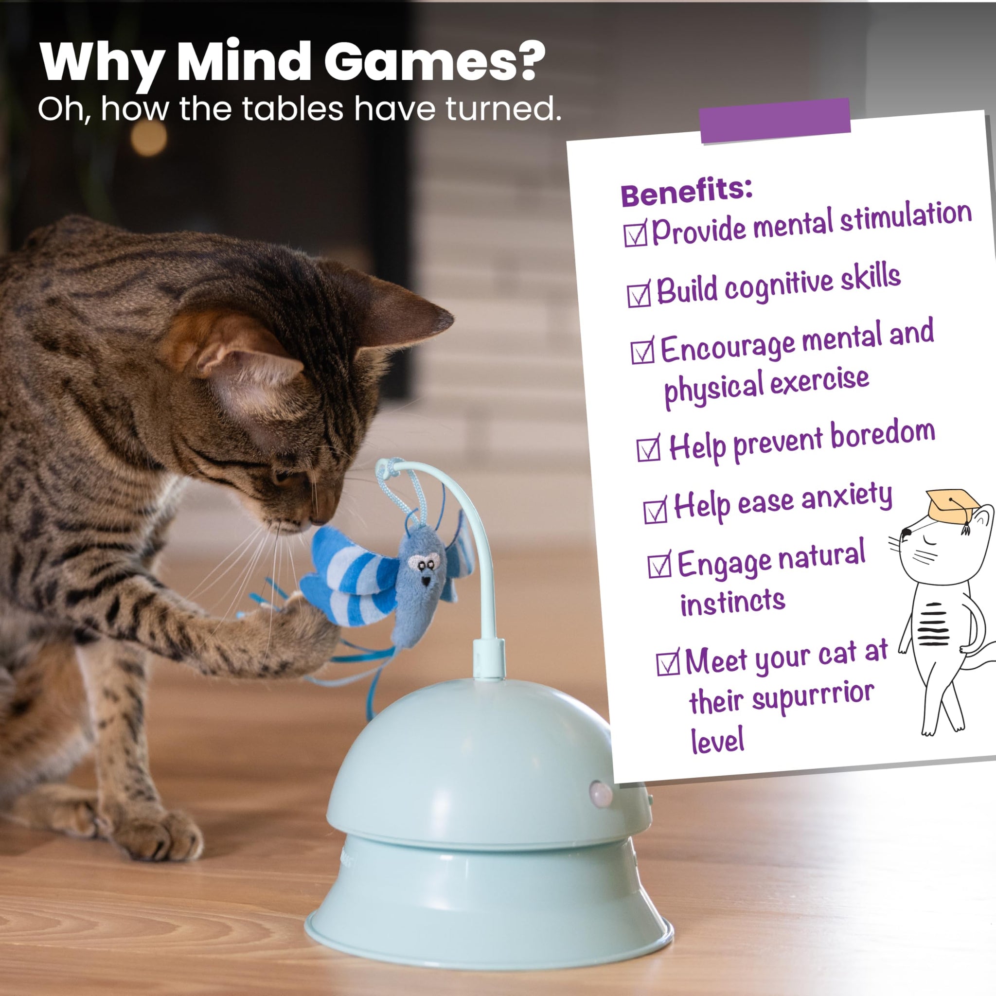 Interactive Flutter Dome Cat Toy for Indoor Play