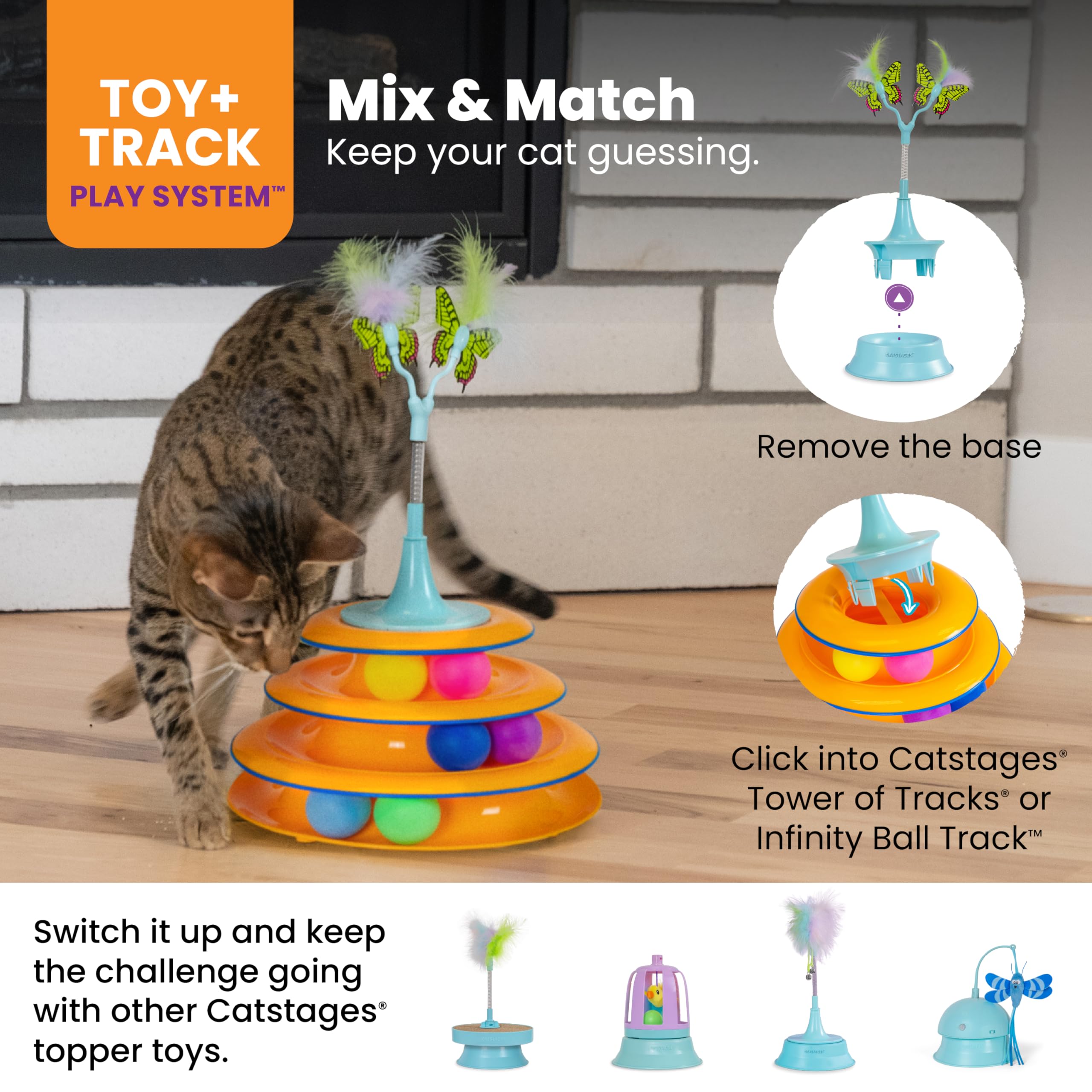 Interactive Flutter Dome Cat Toy for Indoor Play