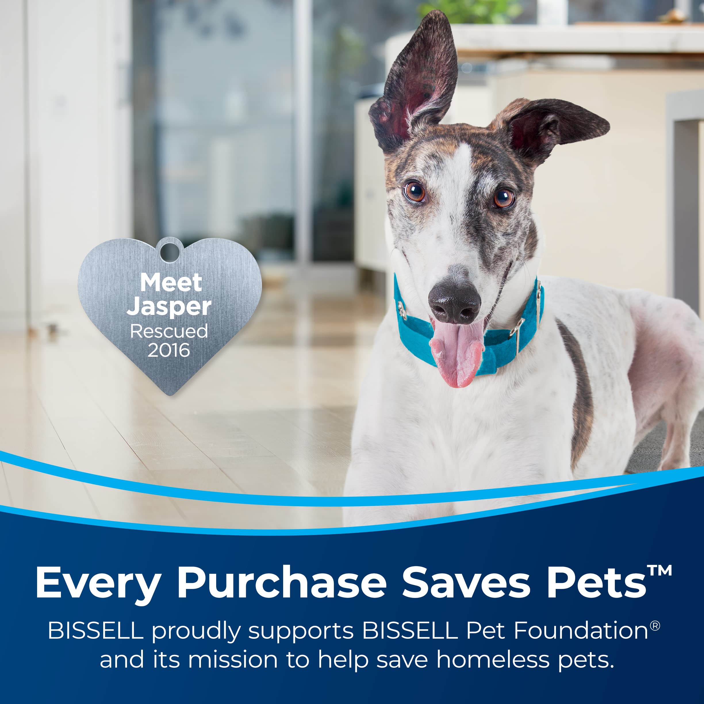 Bissell SurfaceSense Pet Vacuum with Lift-Off Technology