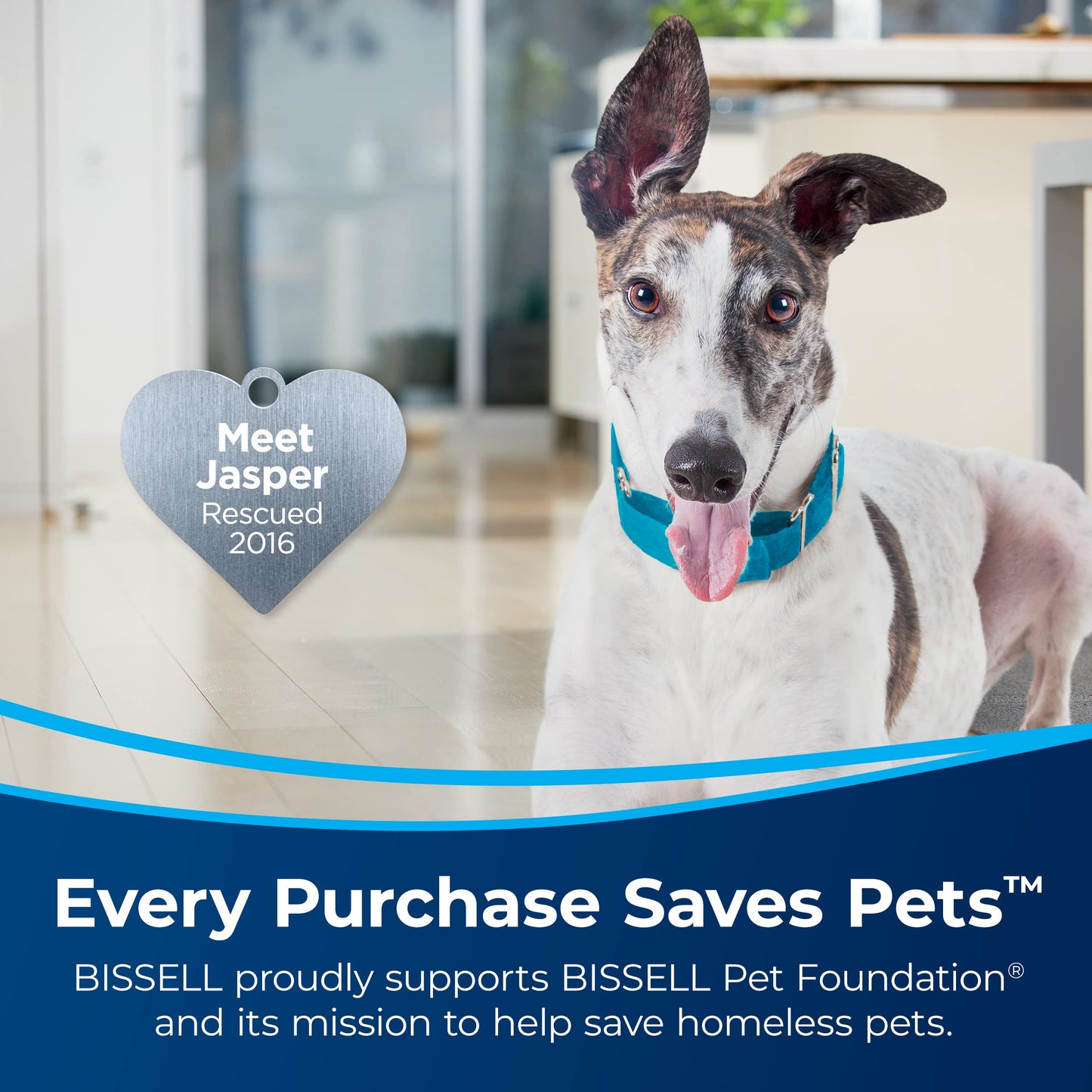 Bissell SurfaceSense Pet Vacuum with Lift-Off Technology