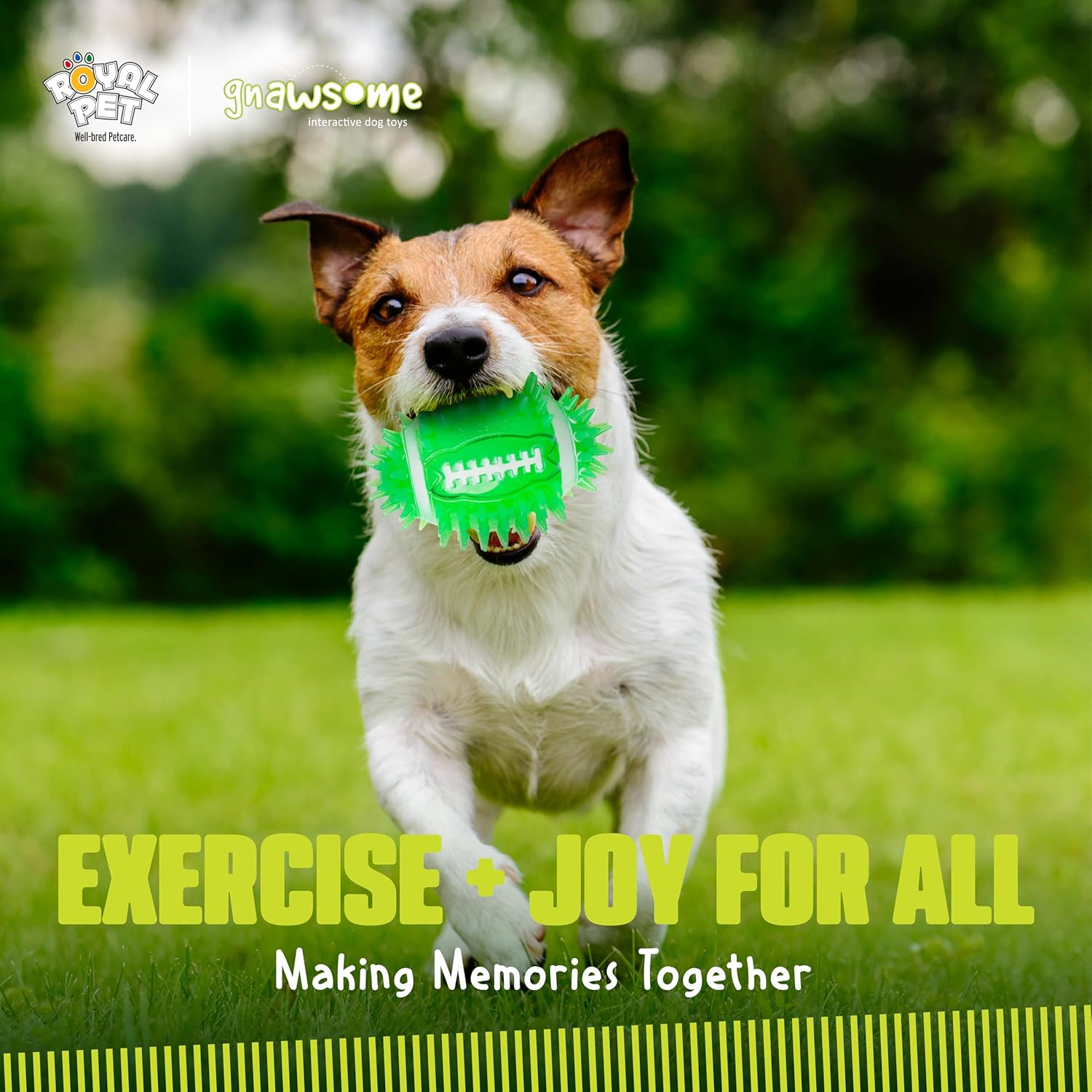 Durable Spiky Squeak Football Toy for Dogs
