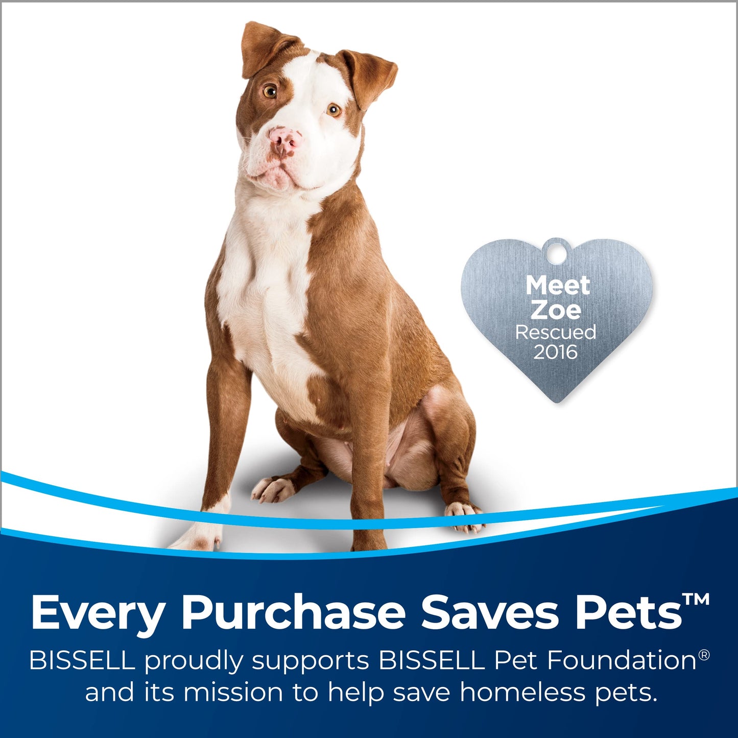 Bissell CleanView Swivel Vacuum for Powerful Pet Hair Pickup