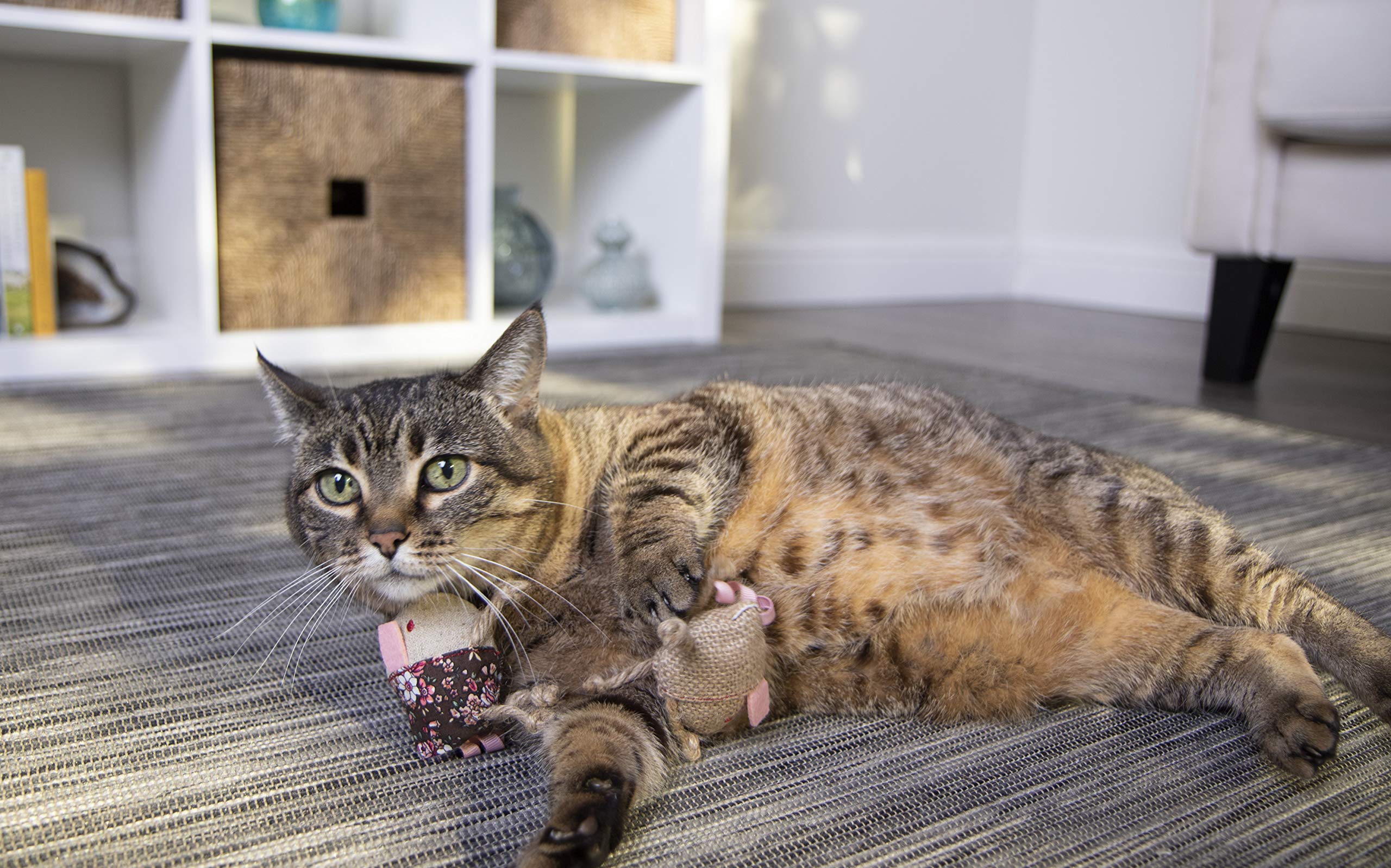 Interactive Cat Toy with Light and HappyNip Blend