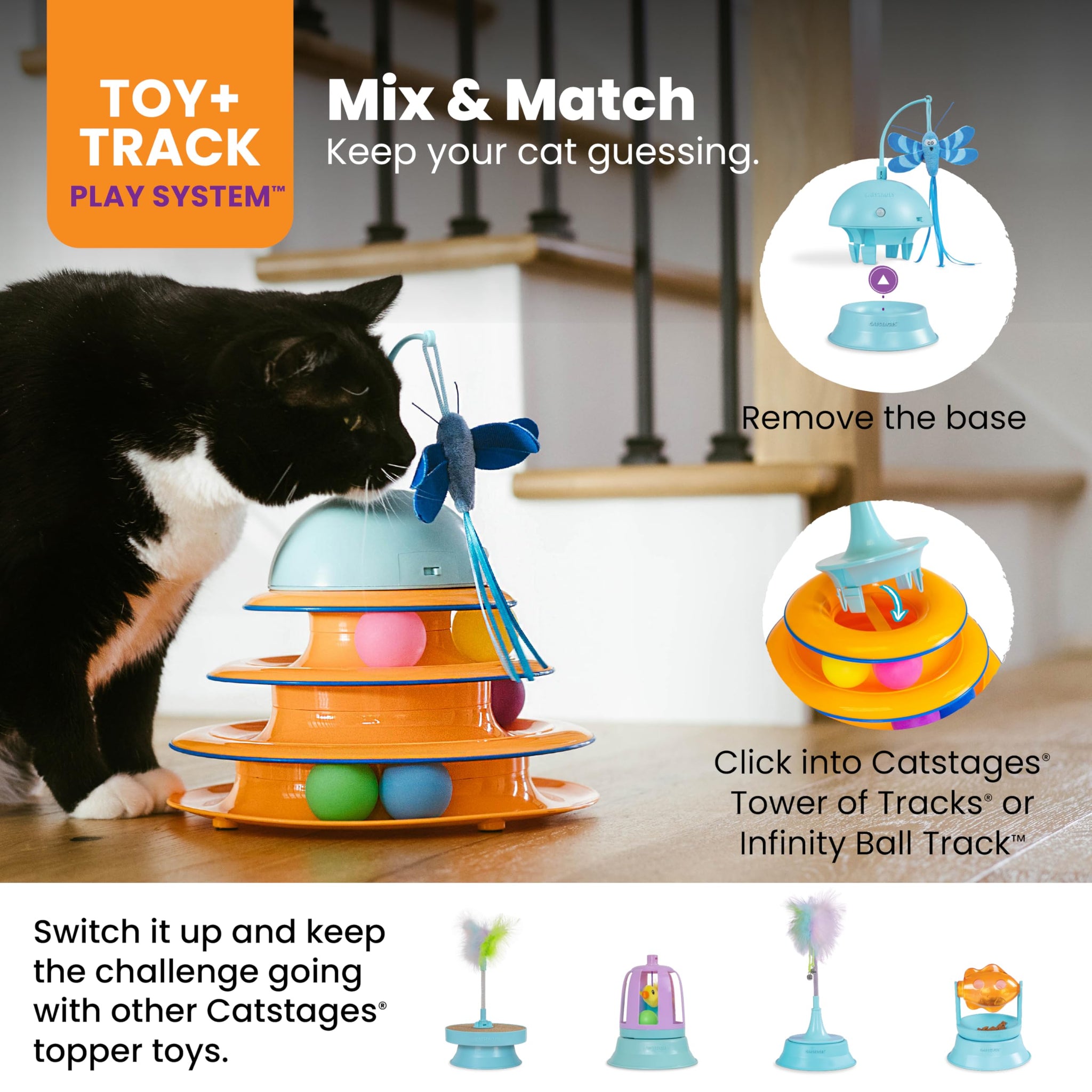 Interactive Flutter Dome Cat Toy for Indoor Play