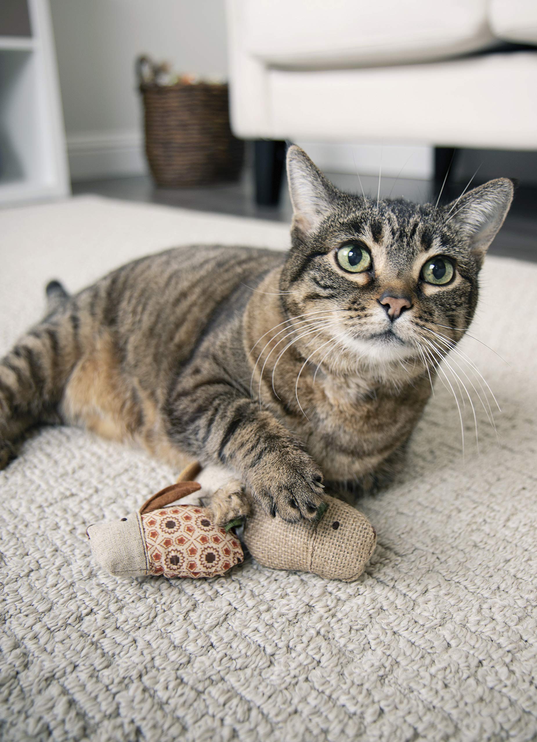 Interactive Cat Toy with Light and HappyNip Blend