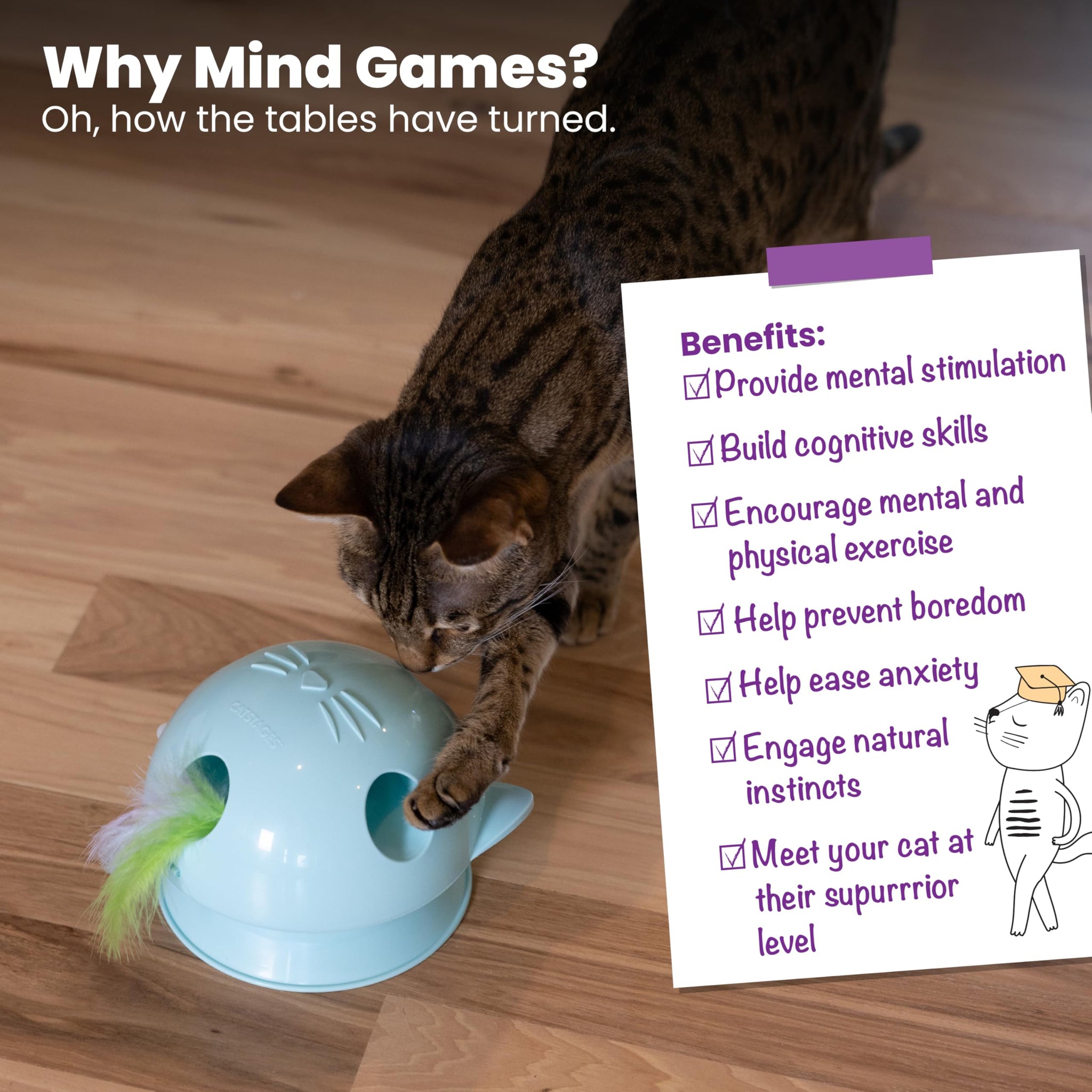 Interactive Flutter Dome Cat Toy for Indoor Play