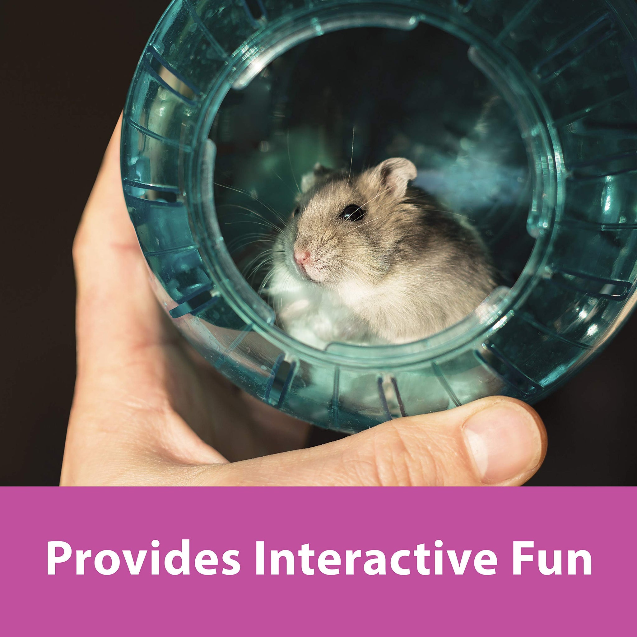 Kaytee 5 Inch Clear Exercise Ball for Dwarf Hamsters
