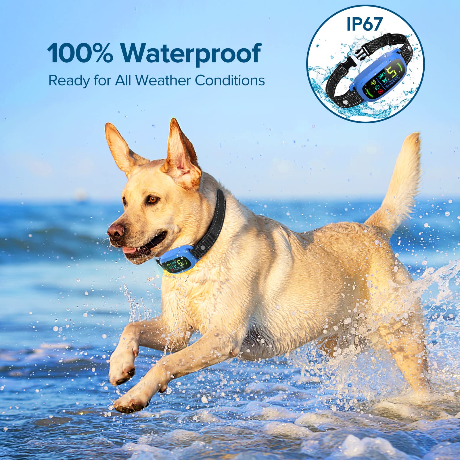 Rechargeable Dog Bark Collar with Adjustable Sensitivity Levels
