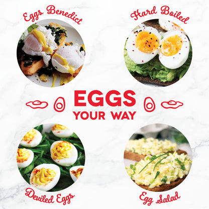 Dash Rapid Egg Cooker 6 Egg Capacity Auto Shut Off Aqua