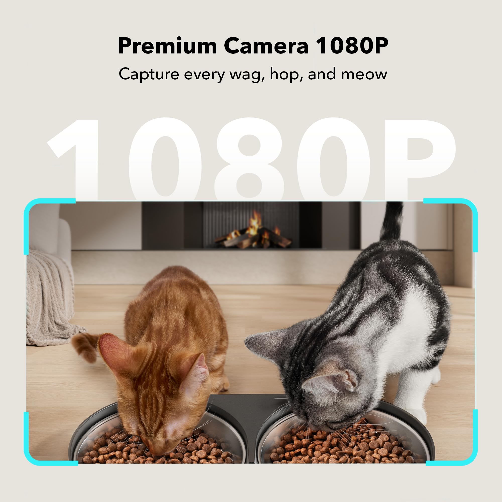 Petlibro Automatic Cat Food Dispenser for Two Pets