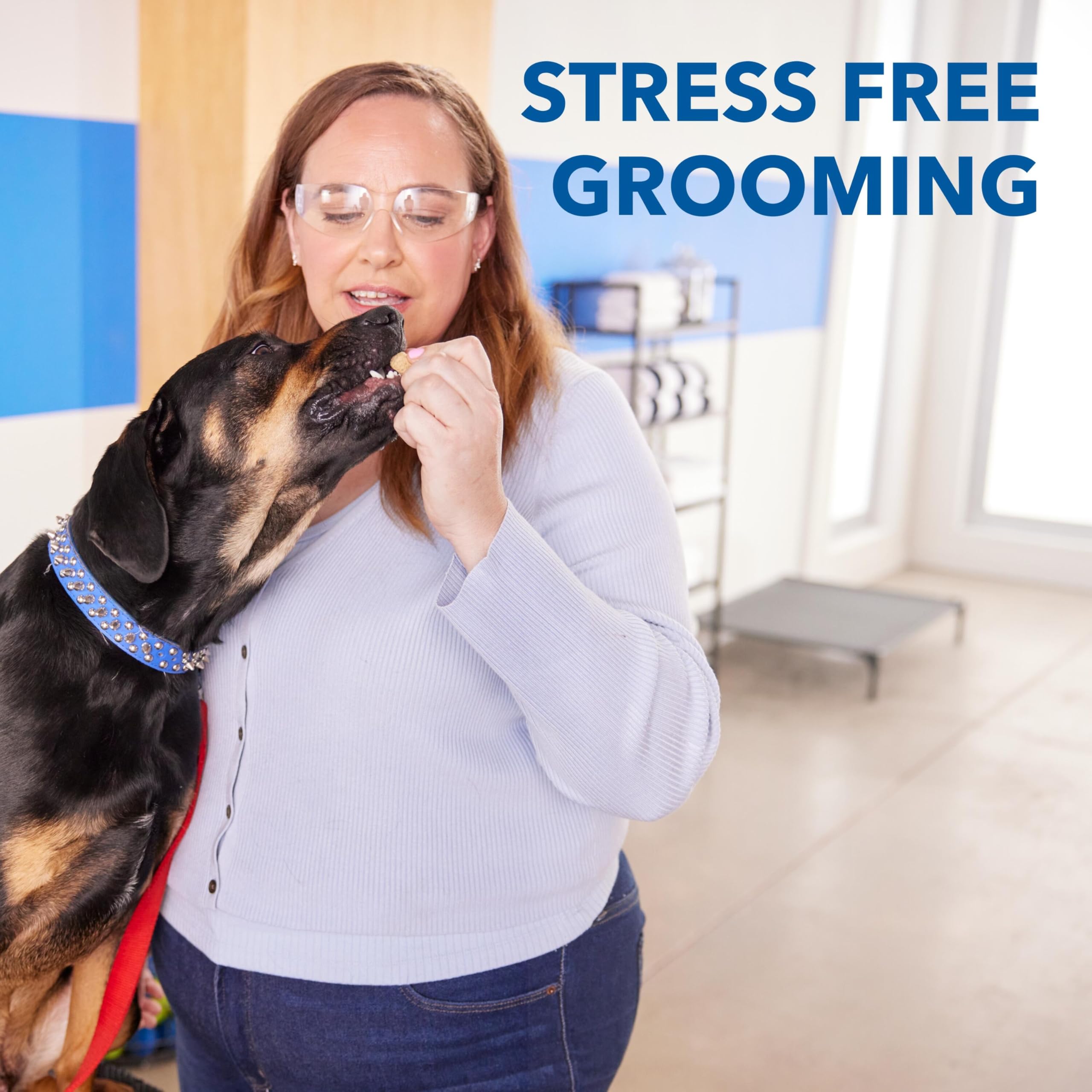 Cordless Pet Nail Grinder with Safe Grooming Kit