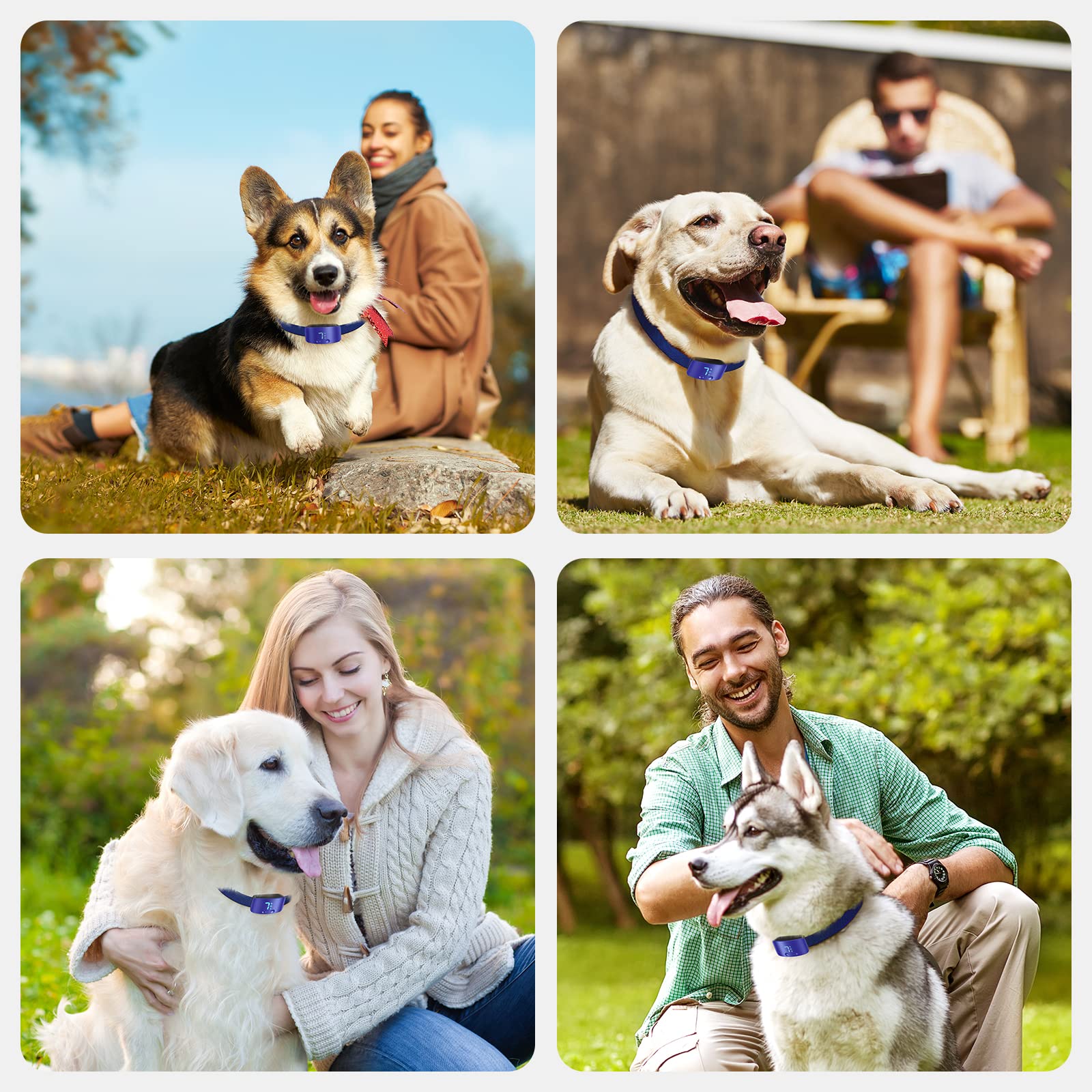 Rechargeable Anti Barking Collar for Dogs with Adjustable Sensitivity