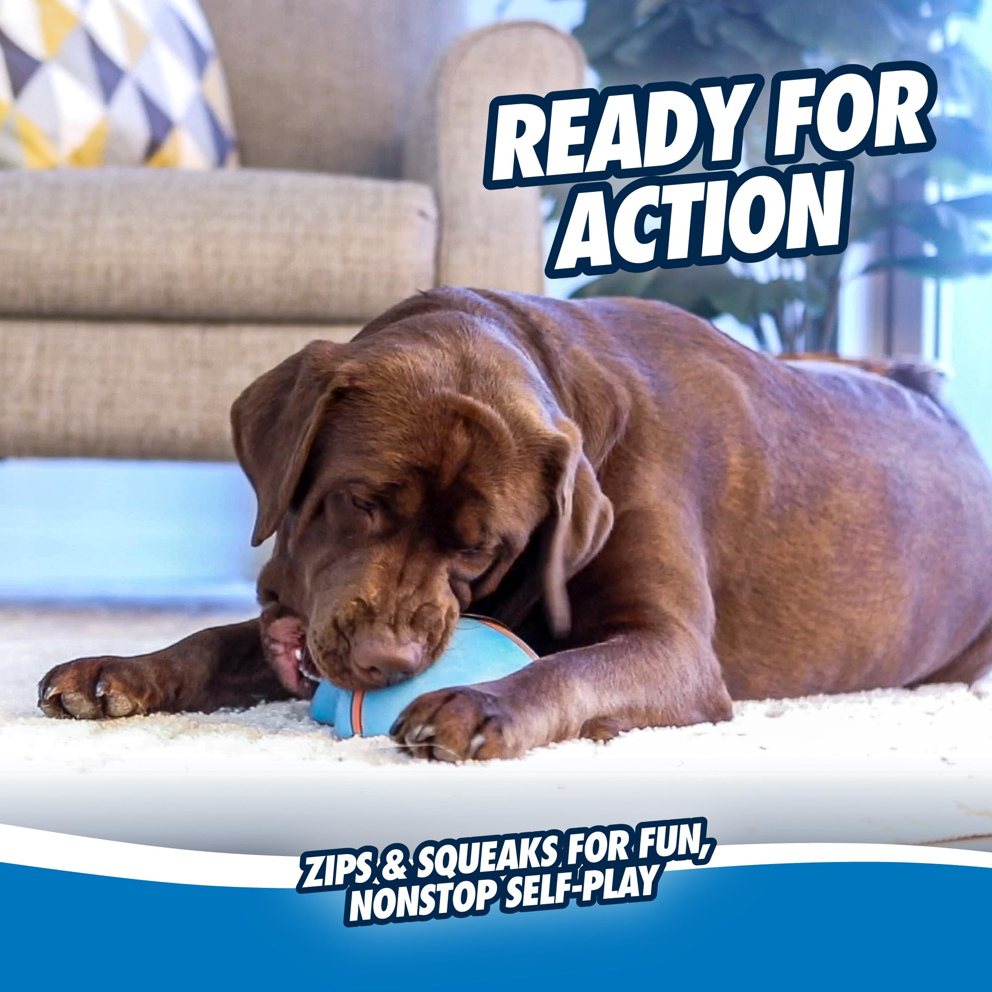 Chuckit Indoor Super Slider Fetch Toy for Dogs