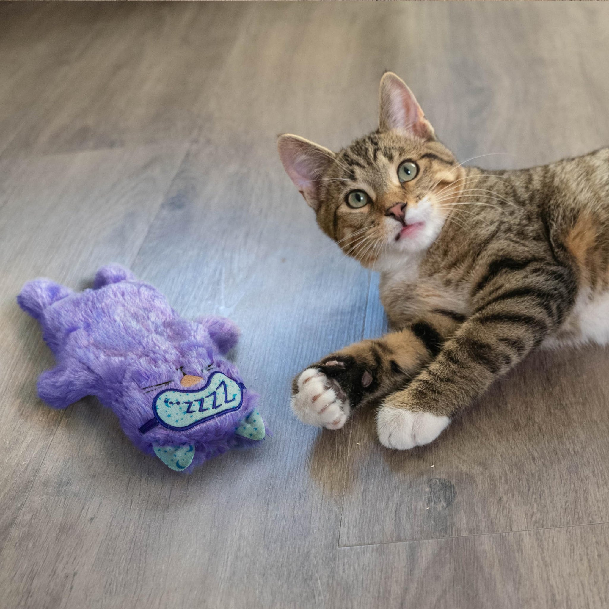 Calming Cat Toy with Purring Sound for Stress Relief