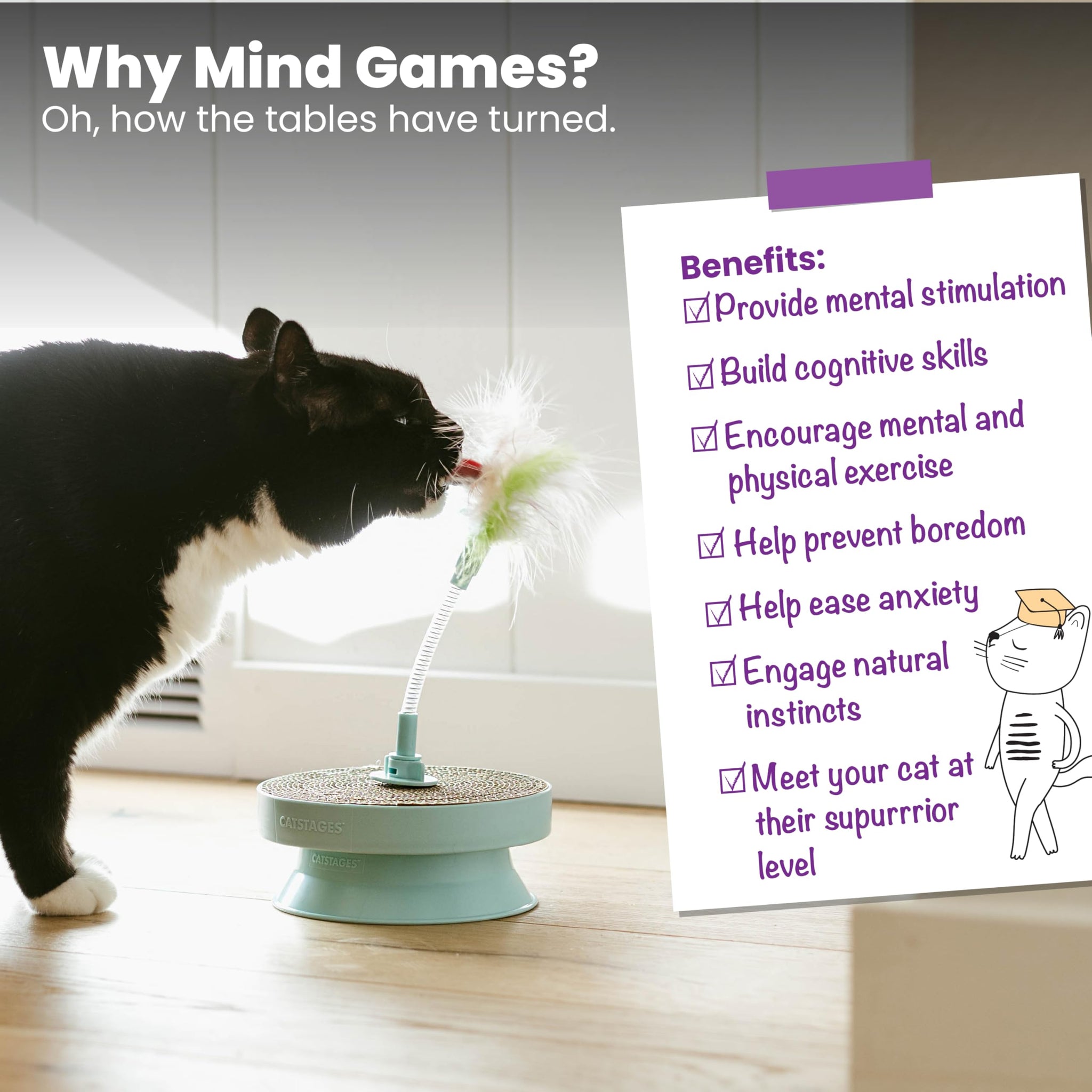 Interactive Flutter Dome Cat Toy for Indoor Play