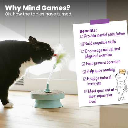 Interactive Flutter Dome Cat Toy for Indoor Play