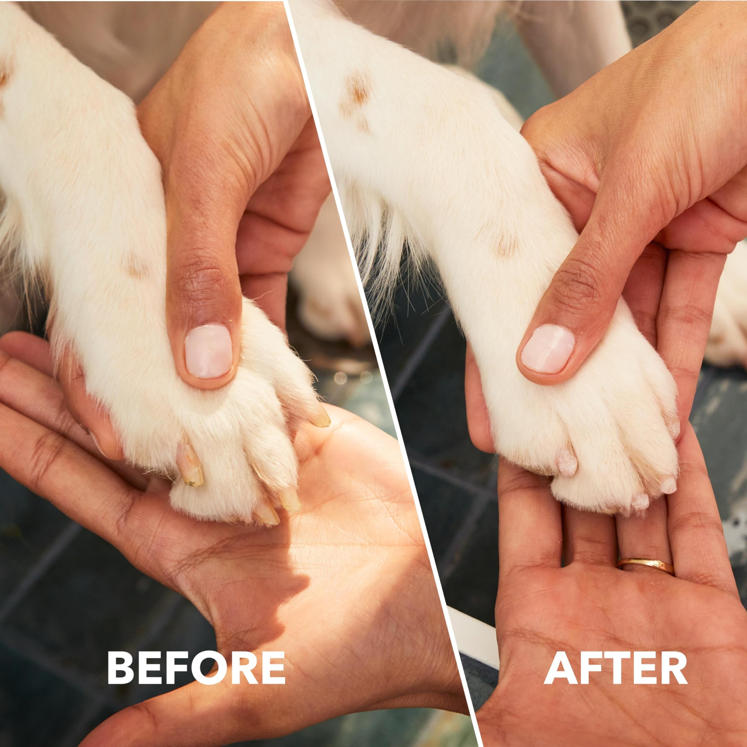 Cordless Pet Nail Grinder with Safe Grooming Kit