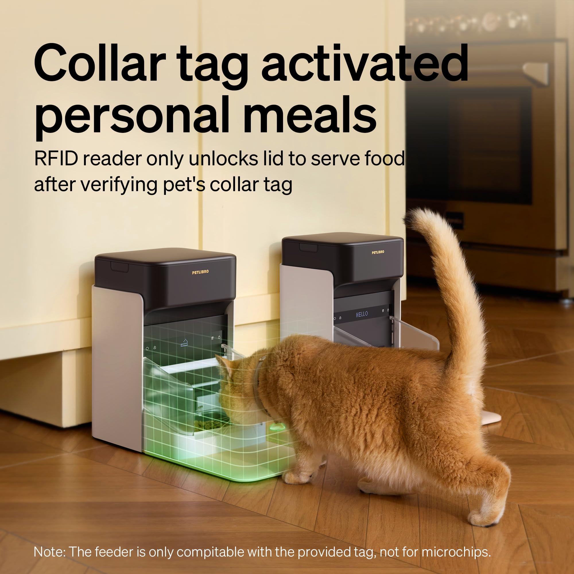 Automatic Cat Feeder With App Control For Convenient Feeding