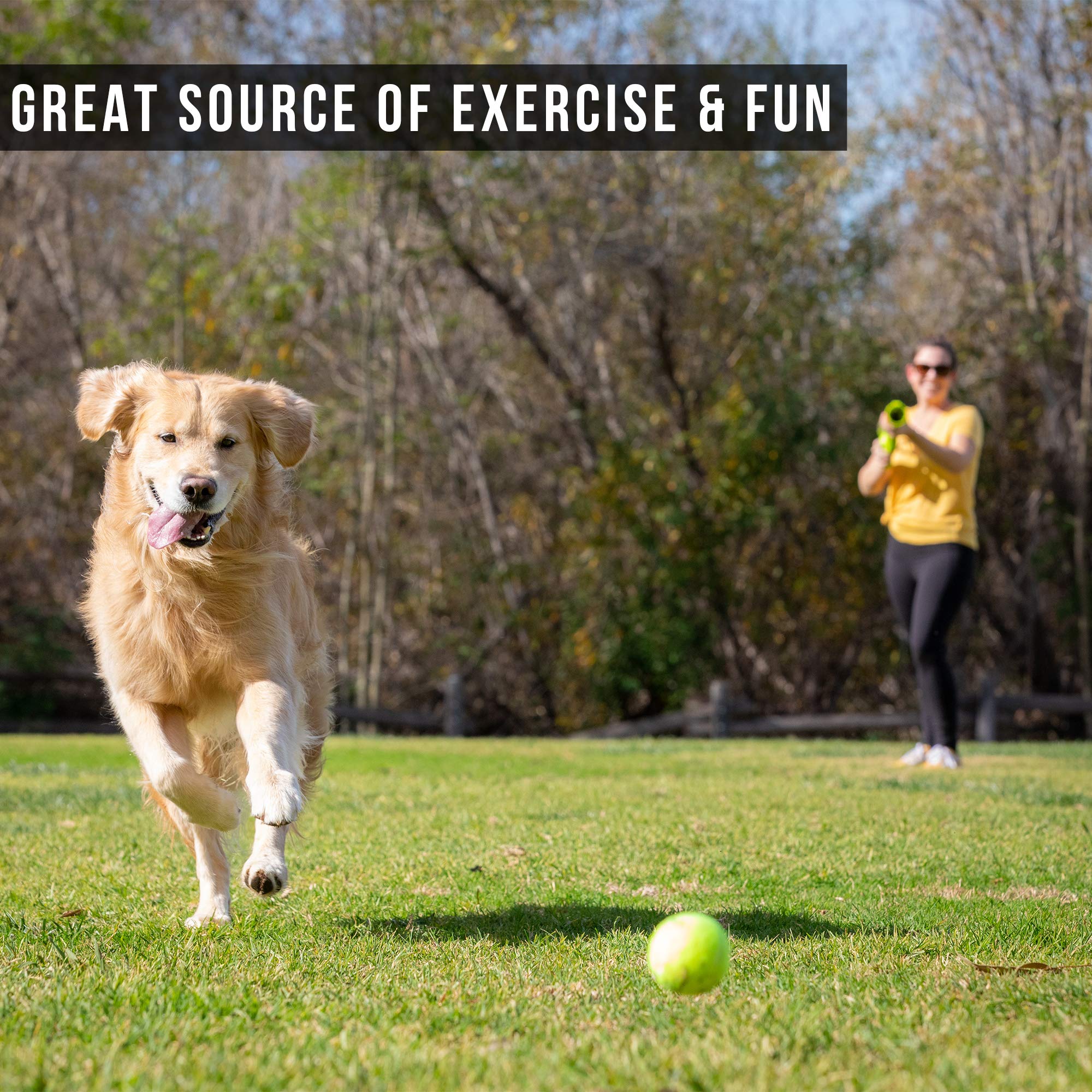 Automatic Ball Launcher for Dogs with Remote Control