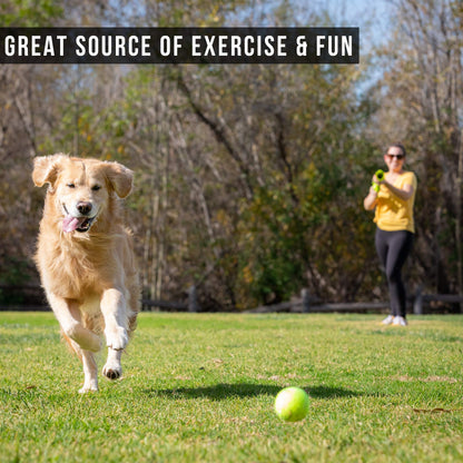 Automatic Ball Launcher for Dogs with Remote Control