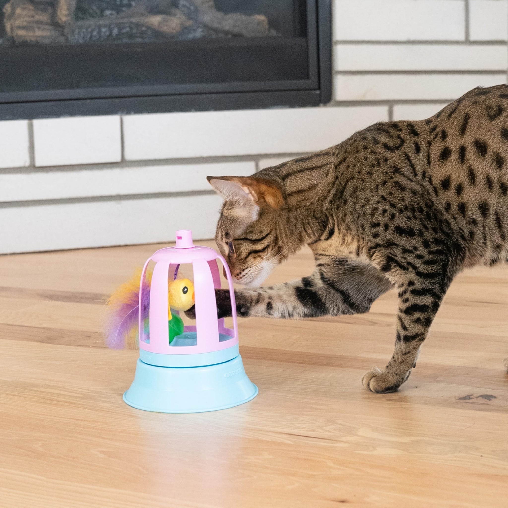 Interactive Flutter Dome Cat Toy for Indoor Play