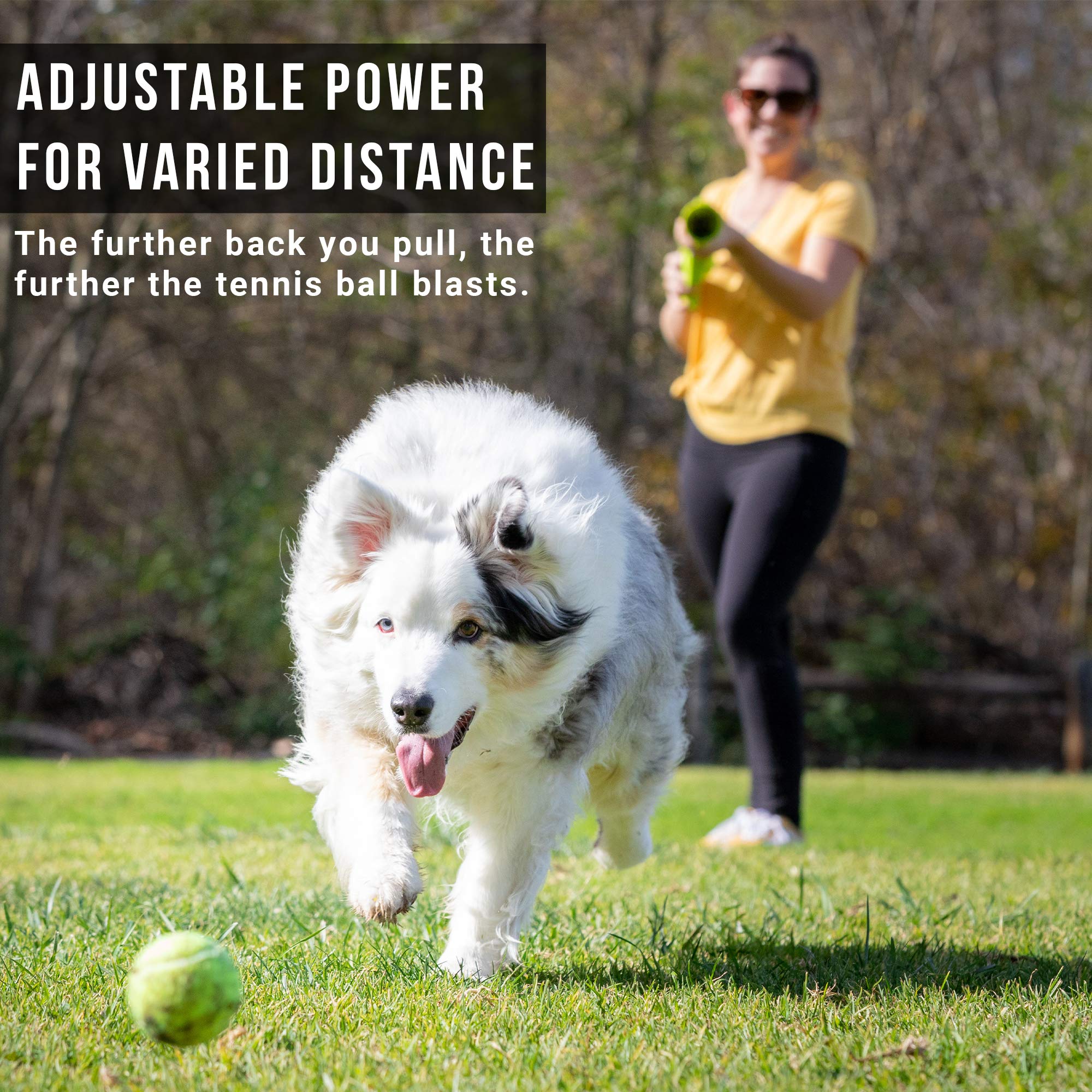 Automatic Ball Launcher for Dogs with Remote Control
