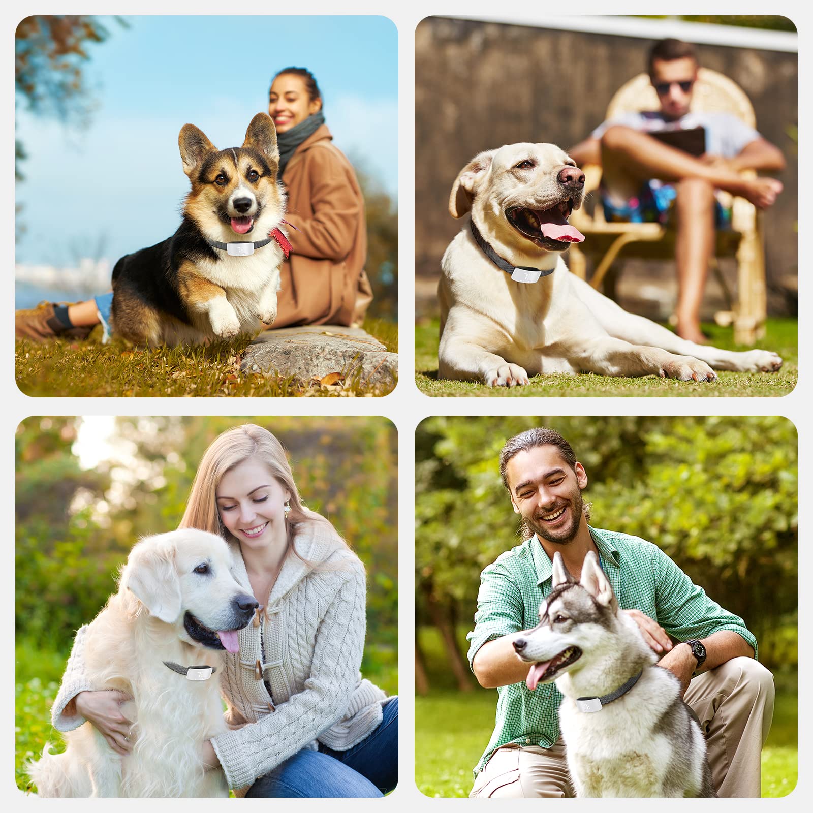 Rechargeable Anti Barking Collar for Dogs with Adjustable Sensitivity