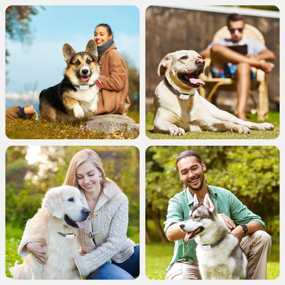 Rechargeable Anti Barking Collar for Dogs with Adjustable Sensitivity