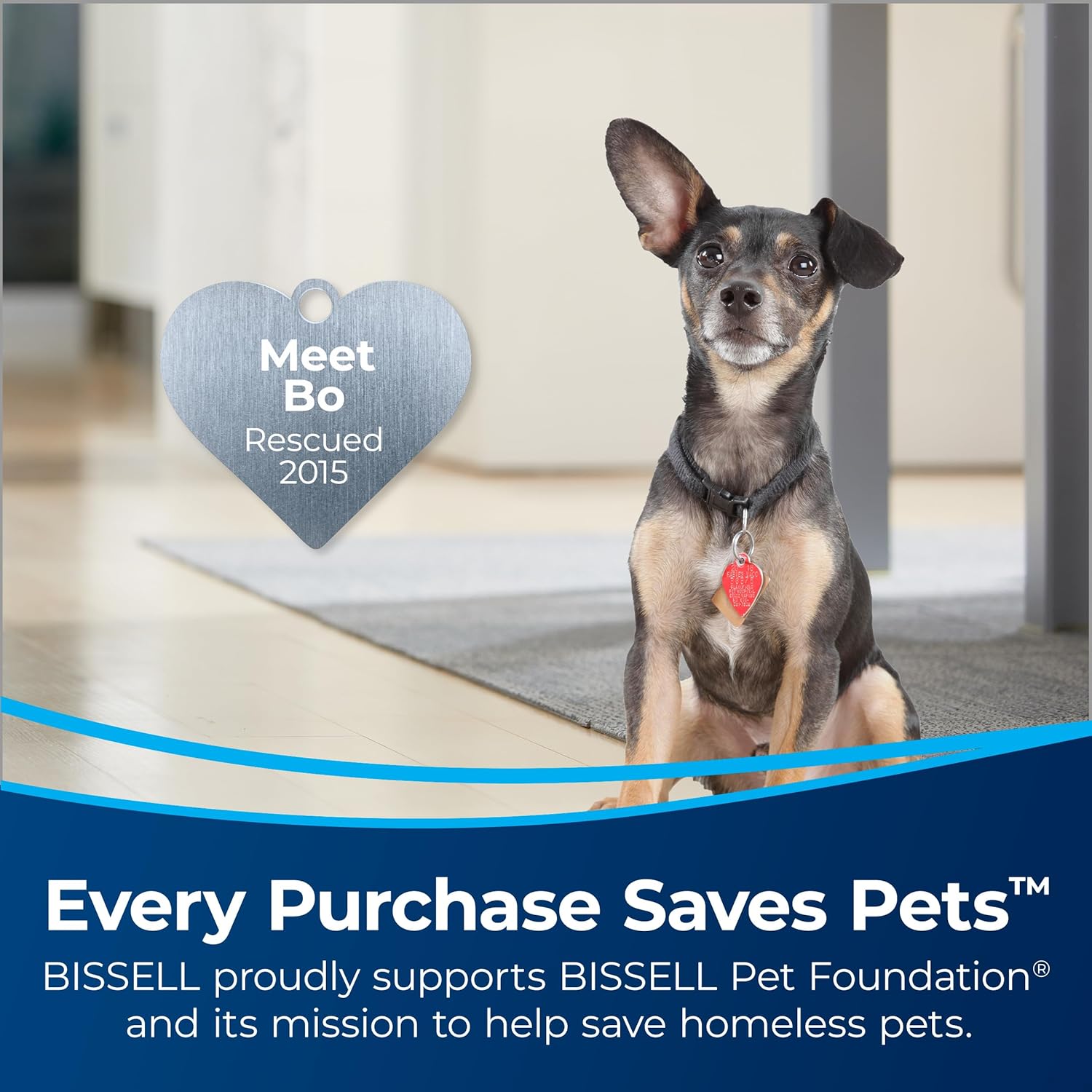 Bissell CleanView Swivel Vacuum for Easy Pet Cleanup