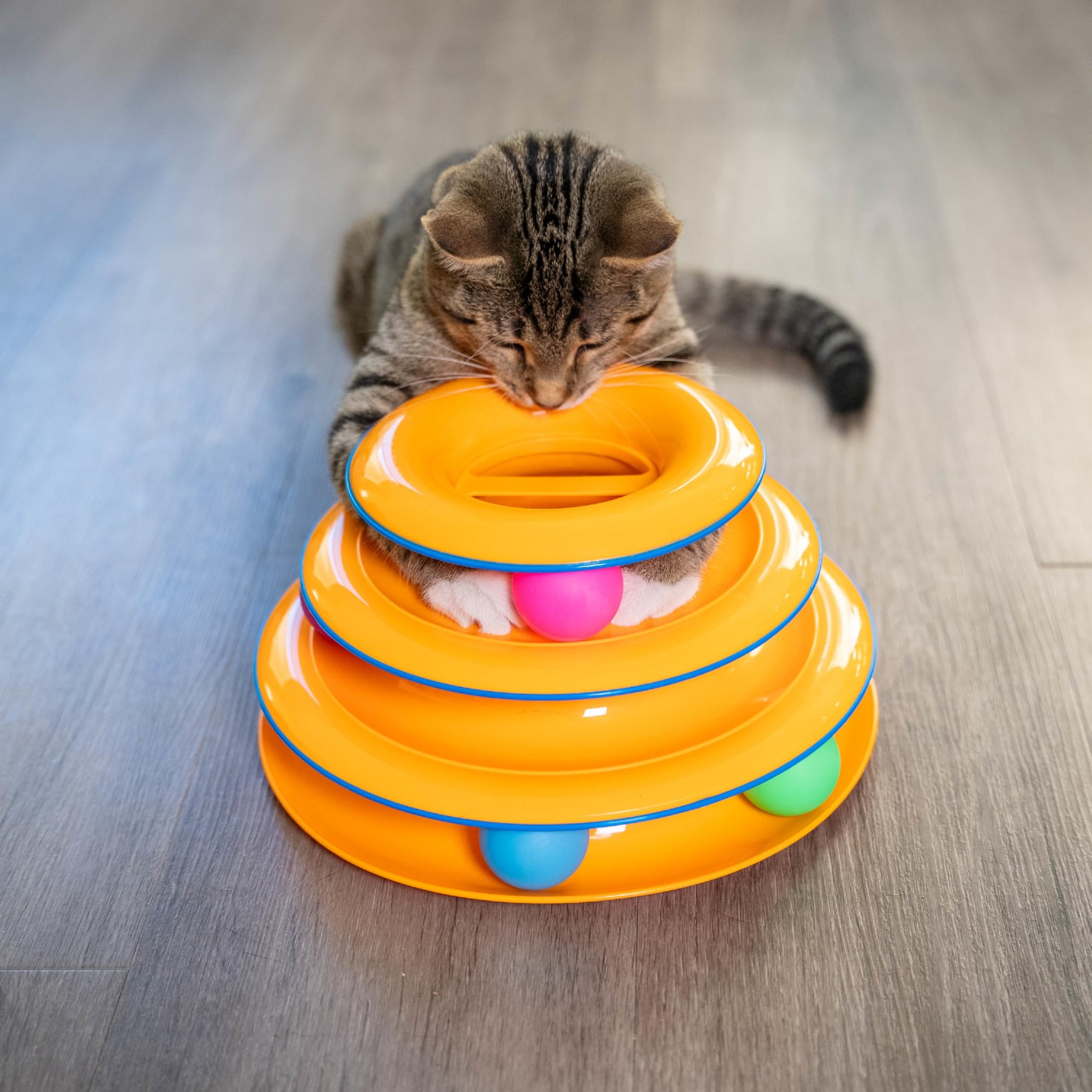 Interactive Three Level Cat Track Toy for Endless Fun