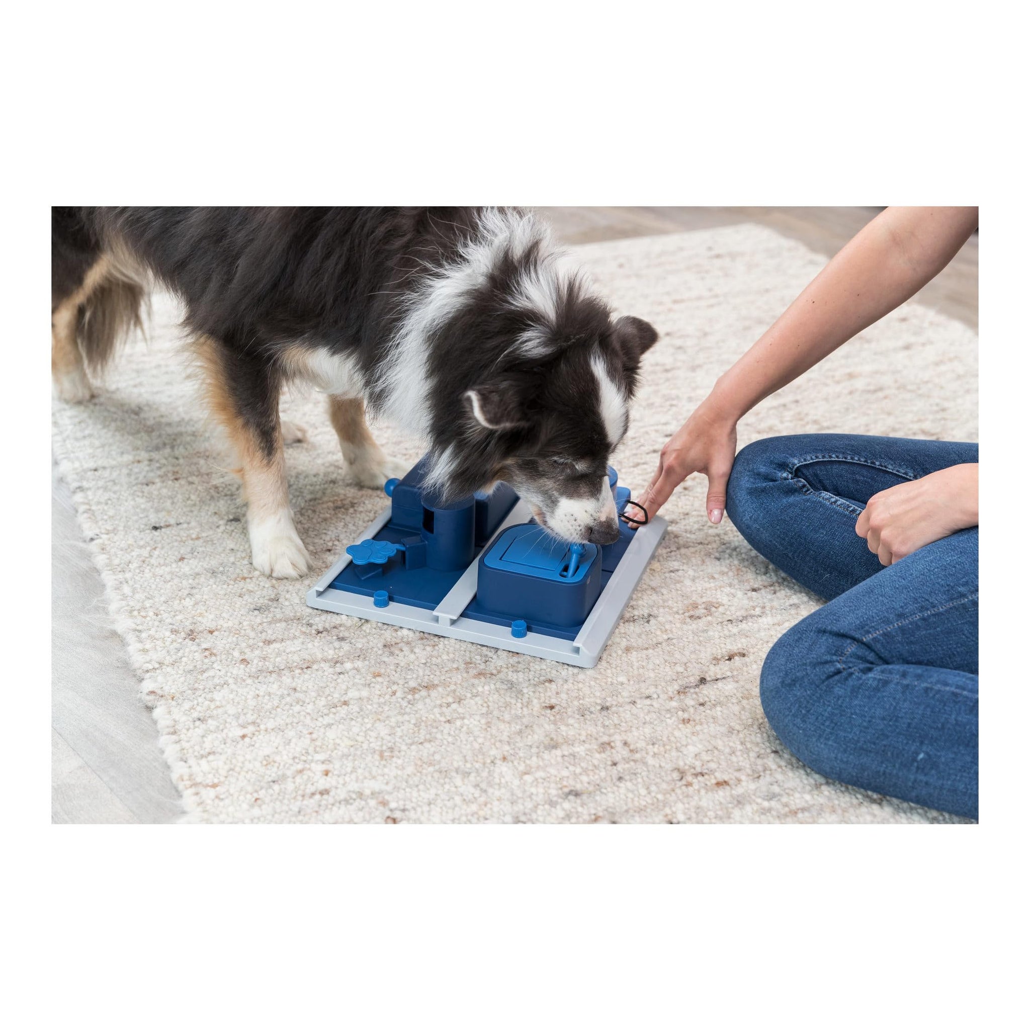 Trixie Move to Win Level 3 Dog Puzzle Game