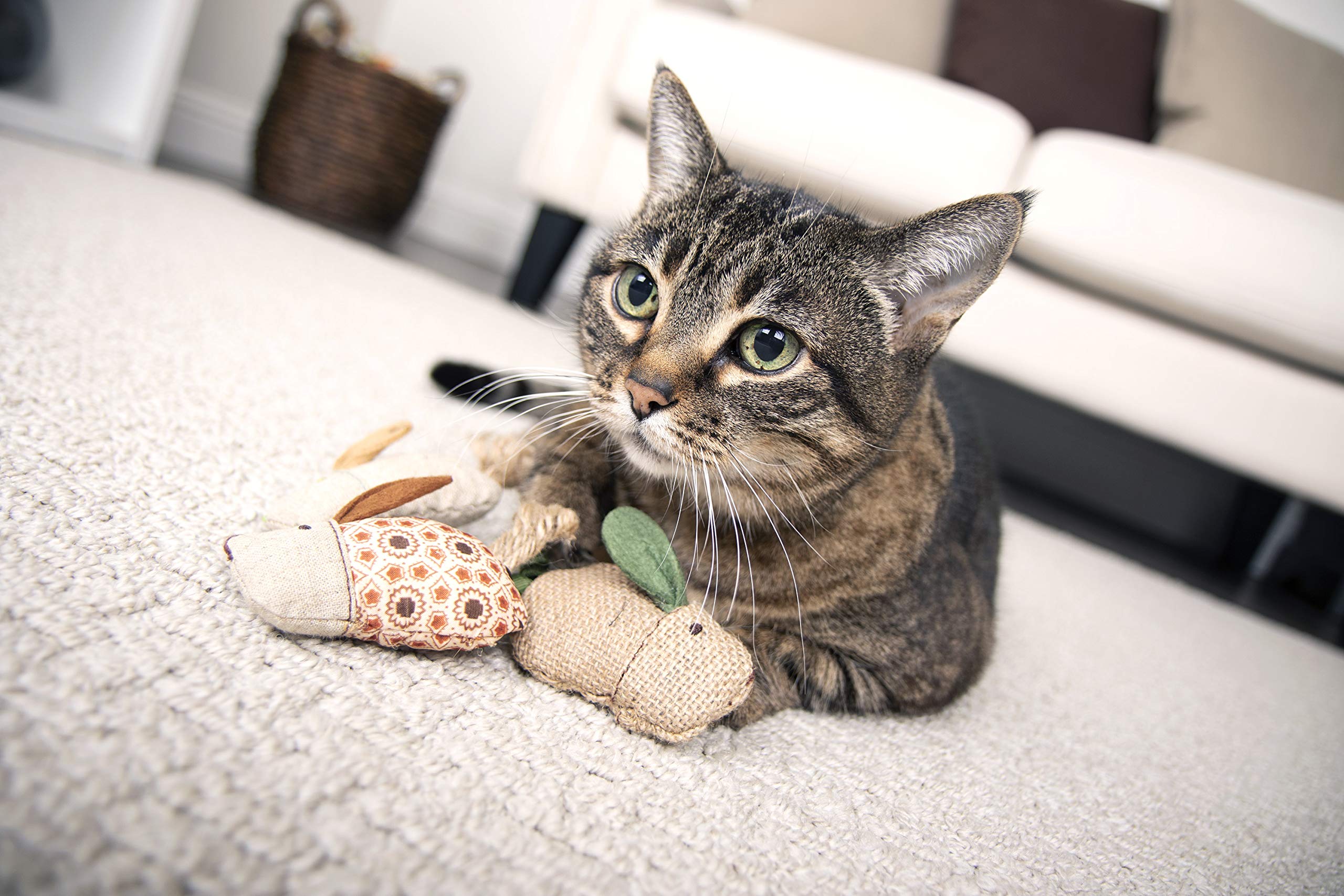 Interactive Cat Toy with Light and HappyNip Blend