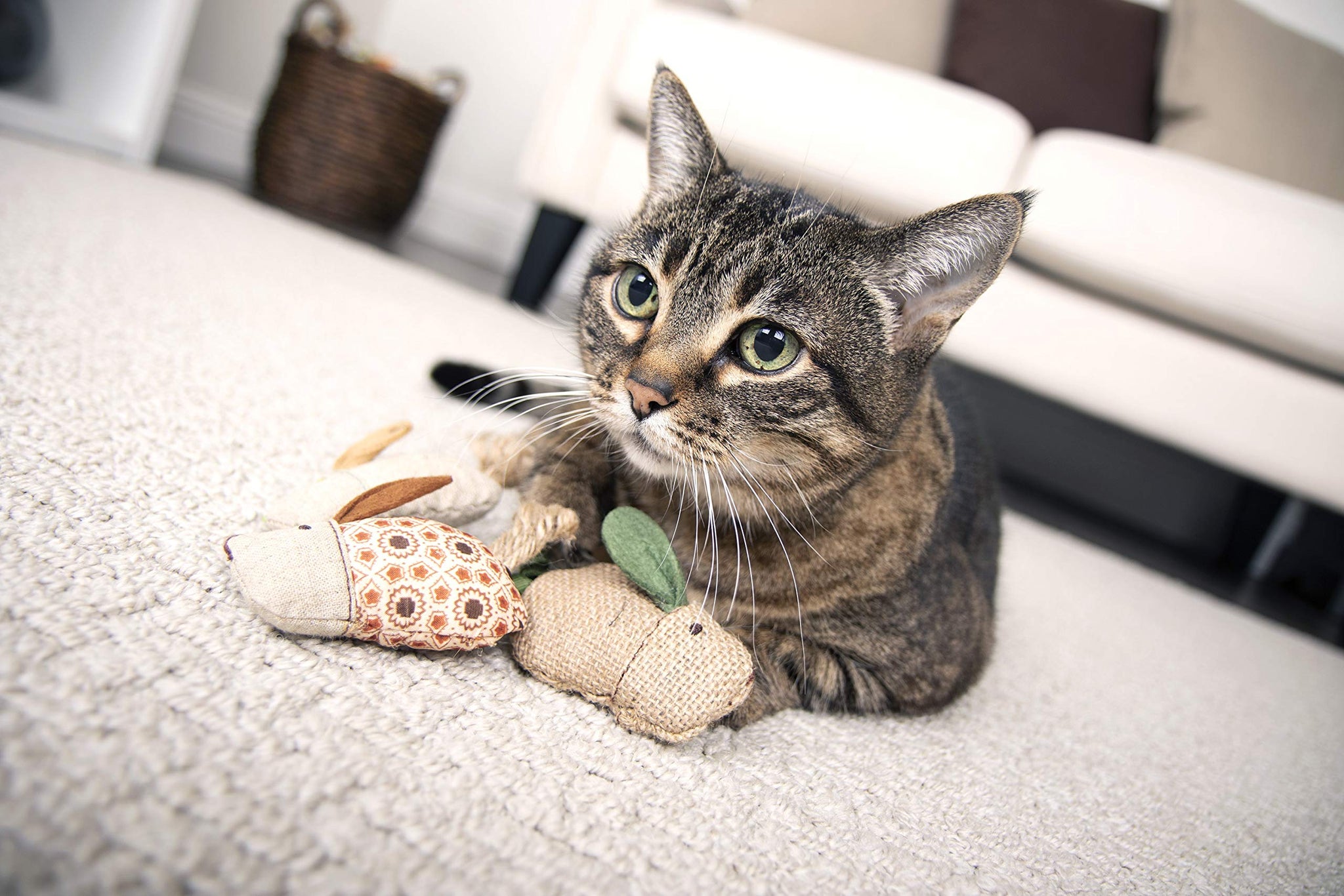 Interactive Cat Toy with Light and HappyNip Blend