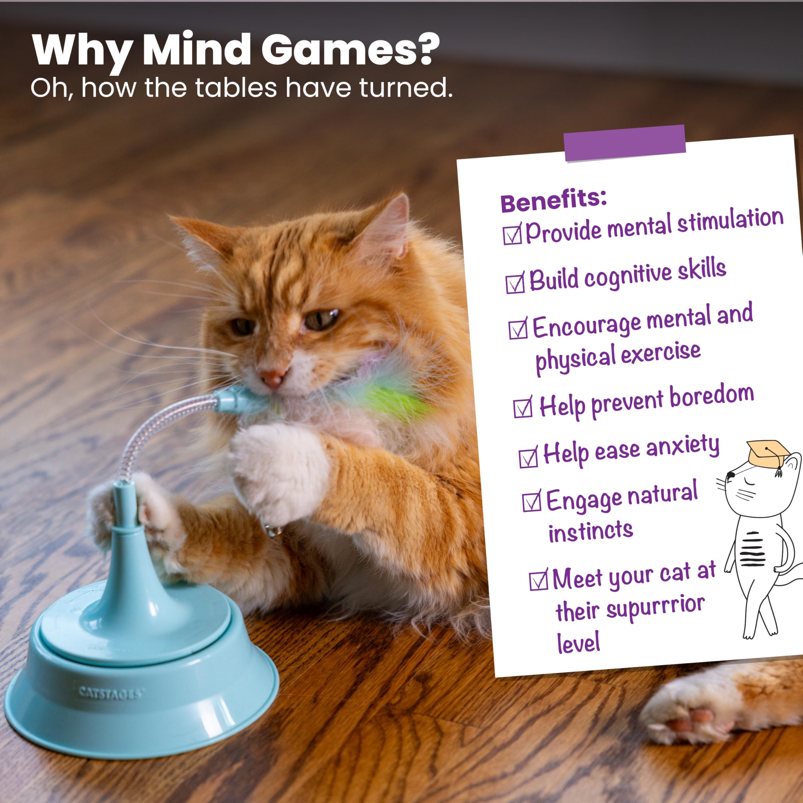 Interactive Flutter Dome Cat Toy for Indoor Play