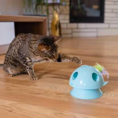 Interactive Flutter Dome Cat Toy for Indoor Play